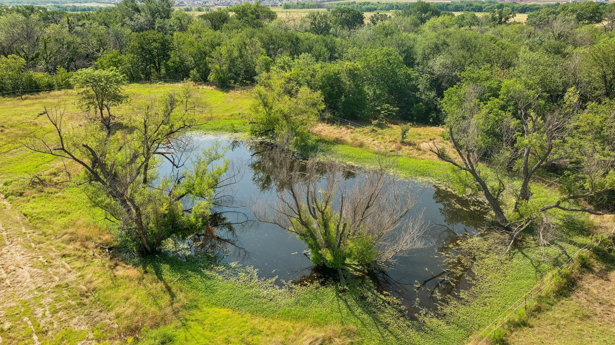 Unimproved Land For Sale in Denton County , 12932 Ragsdale Circle, Aubrey, Texas 76227, 0, 0, Garage spaces, 0 Sqft, built in 0, mls#21270346, Real Estate Agent in Aubrey, Homes For Sale in Denton county, Homes For Sale in Aubrey, Realtor in Aubrey Texas, Real Estate Brokerage Independent Realty Texas, Luminita Cordes Realtor