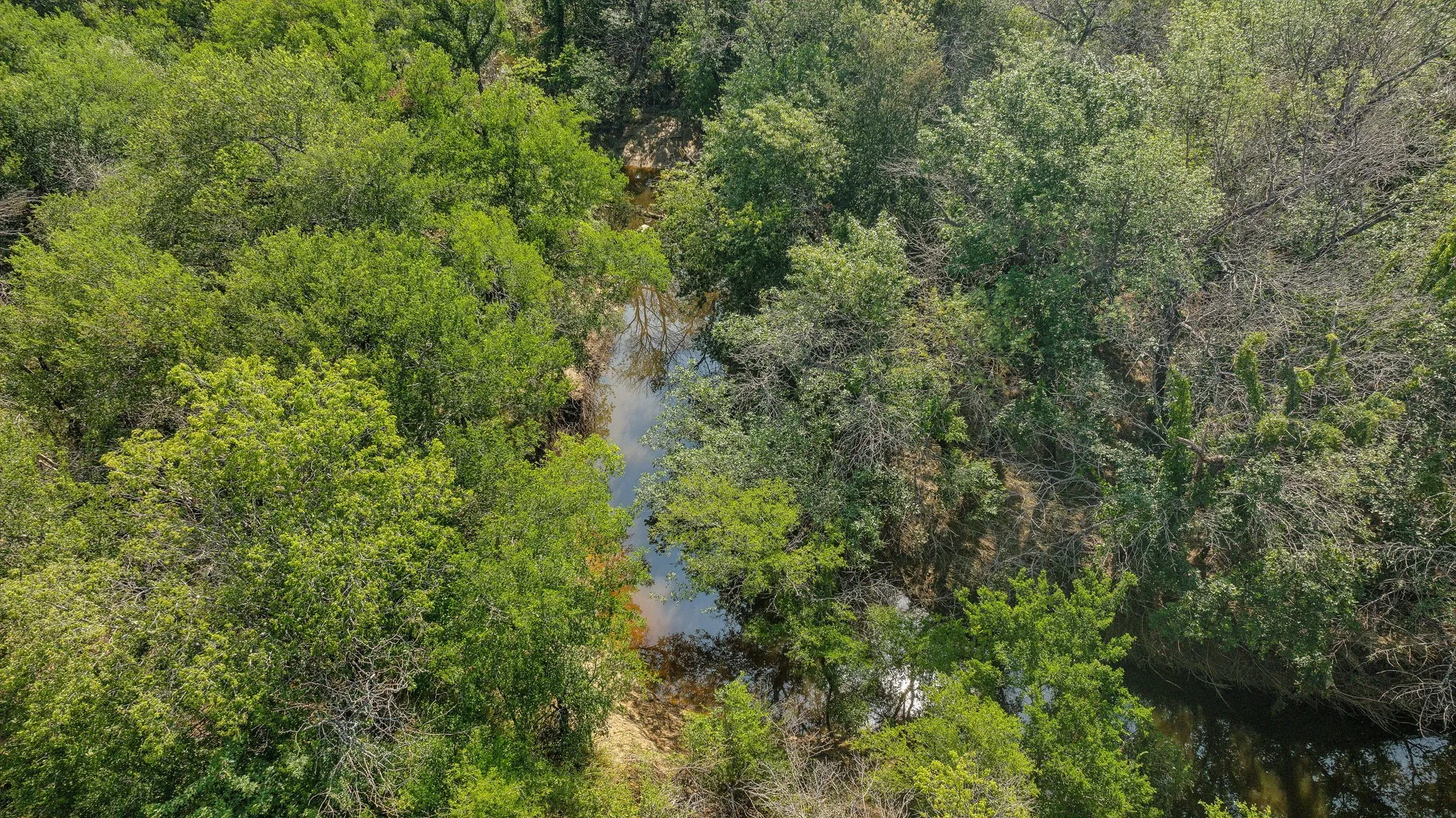 Unimproved Land For Sale in Denton County , 12932 Ragsdale Circle, Aubrey, Texas 76227, 0, 0, Garage spaces, 0 Sqft, built in 0, mls#21270346, Real Estate Agent in Aubrey, Homes For Sale in Denton county, Homes For Sale in Aubrey, Realtor in Aubrey Texas, Real Estate Brokerage Independent Realty Texas, Luminita Cordes Realtor