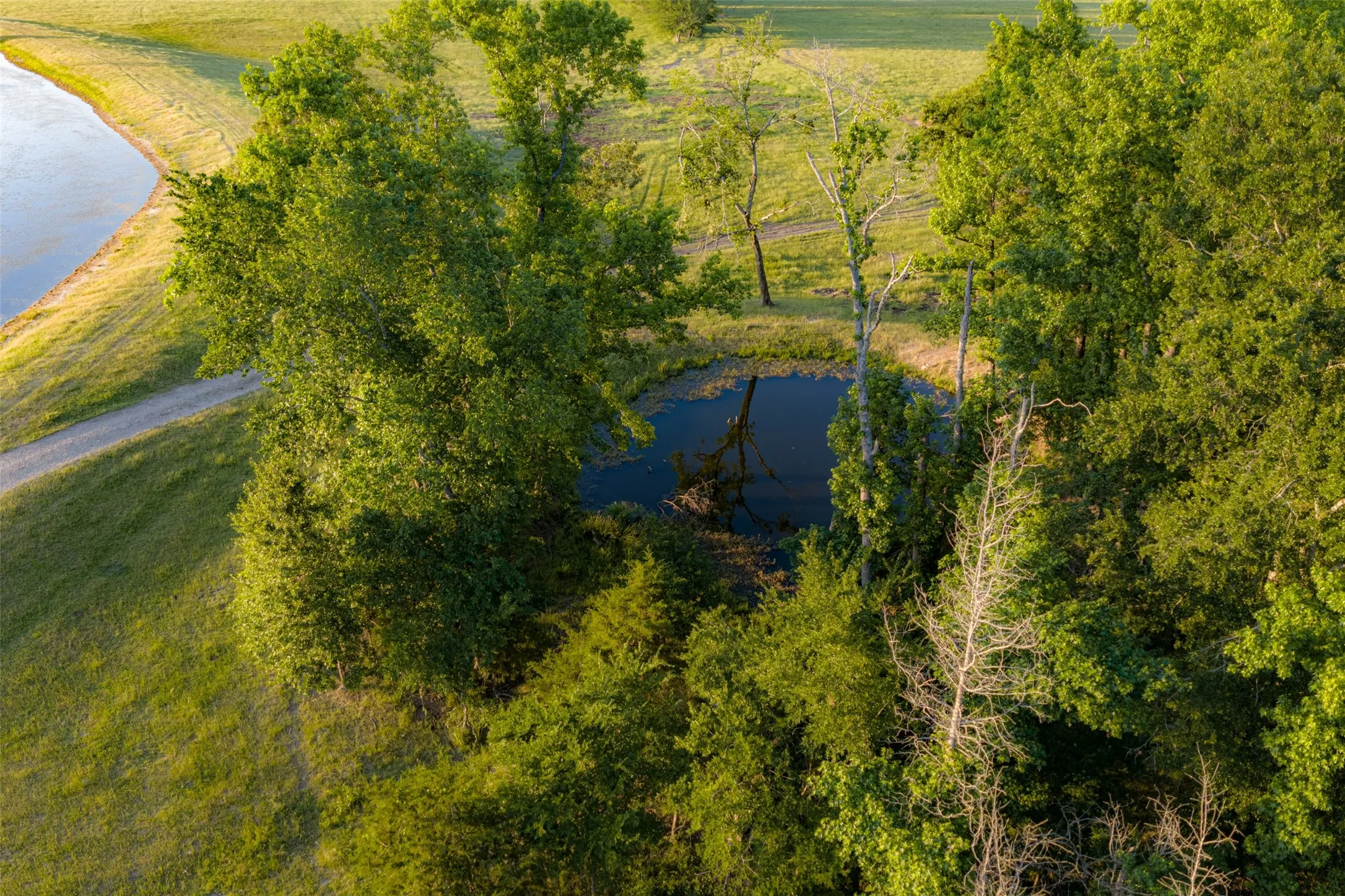 Farm For Sale in Van Zandt County , 1423 Fm 1653, Ben Wheeler, Texas 75754, 2 Bedrooms, 2 Bathrooms, Garage spaces, 1,440 Sqft, built in 2019, Price $2,349,500, mls#21274029, Real Estate Agent in Ben Wheeler, Homes For Sale in Van Zandt county, Homes For Sale in Ben Wheeler, Realtor in Ben Wheeler Texas, Real Estate Brokerage Independent Realty Texas, Luminita Cordes Realtor
