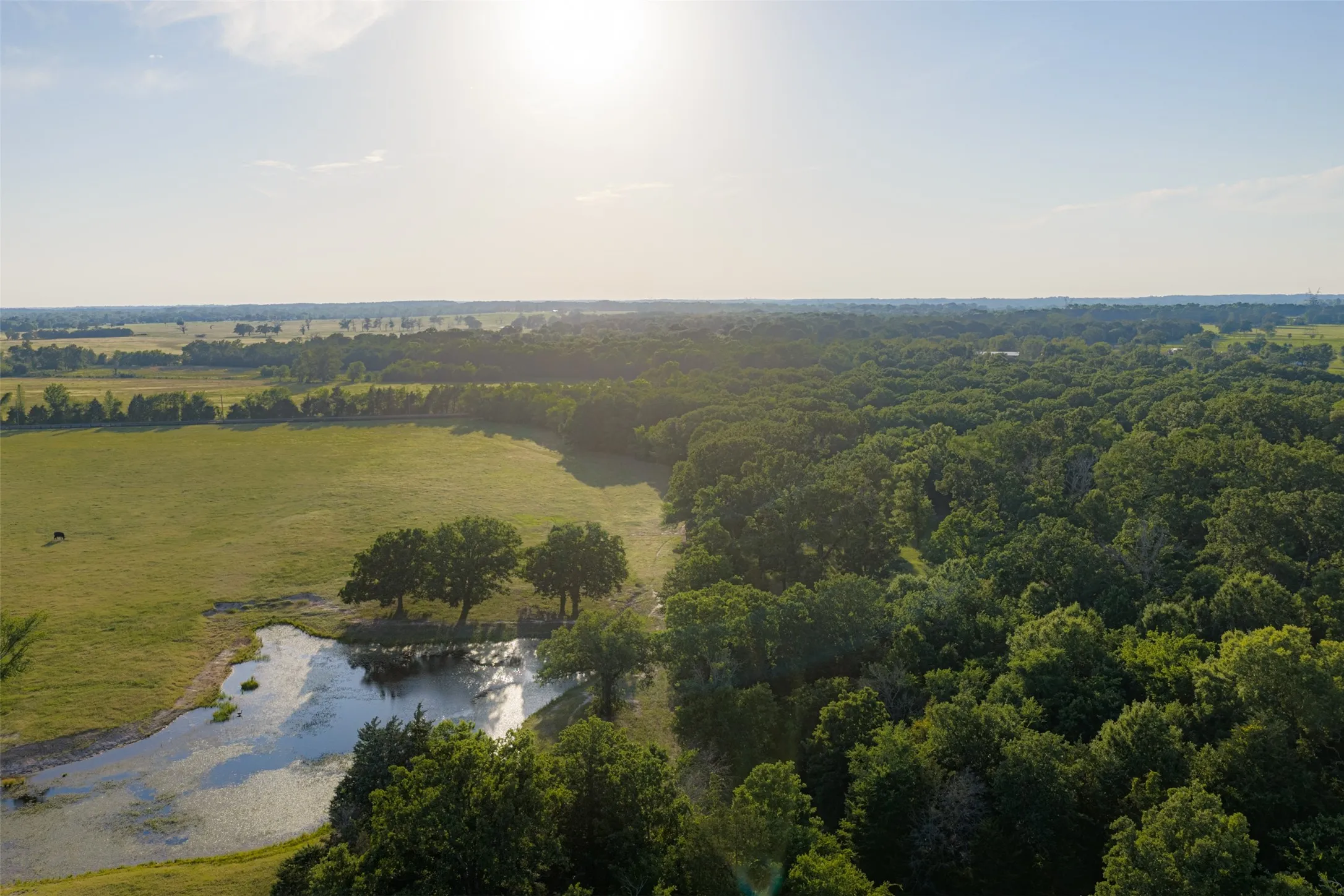 Farm For Sale in Van Zandt County , 1423 Fm 1653, Ben Wheeler, Texas 75754, 2 Bedrooms, 2 Bathrooms, Garage spaces, 1,440 Sqft, built in 2019, Price $2,349,500, mls#21274029, Real Estate Agent in Ben Wheeler, Homes For Sale in Van Zandt county, Homes For Sale in Ben Wheeler, Realtor in Ben Wheeler Texas, Real Estate Brokerage Independent Realty Texas, Luminita Cordes Realtor
