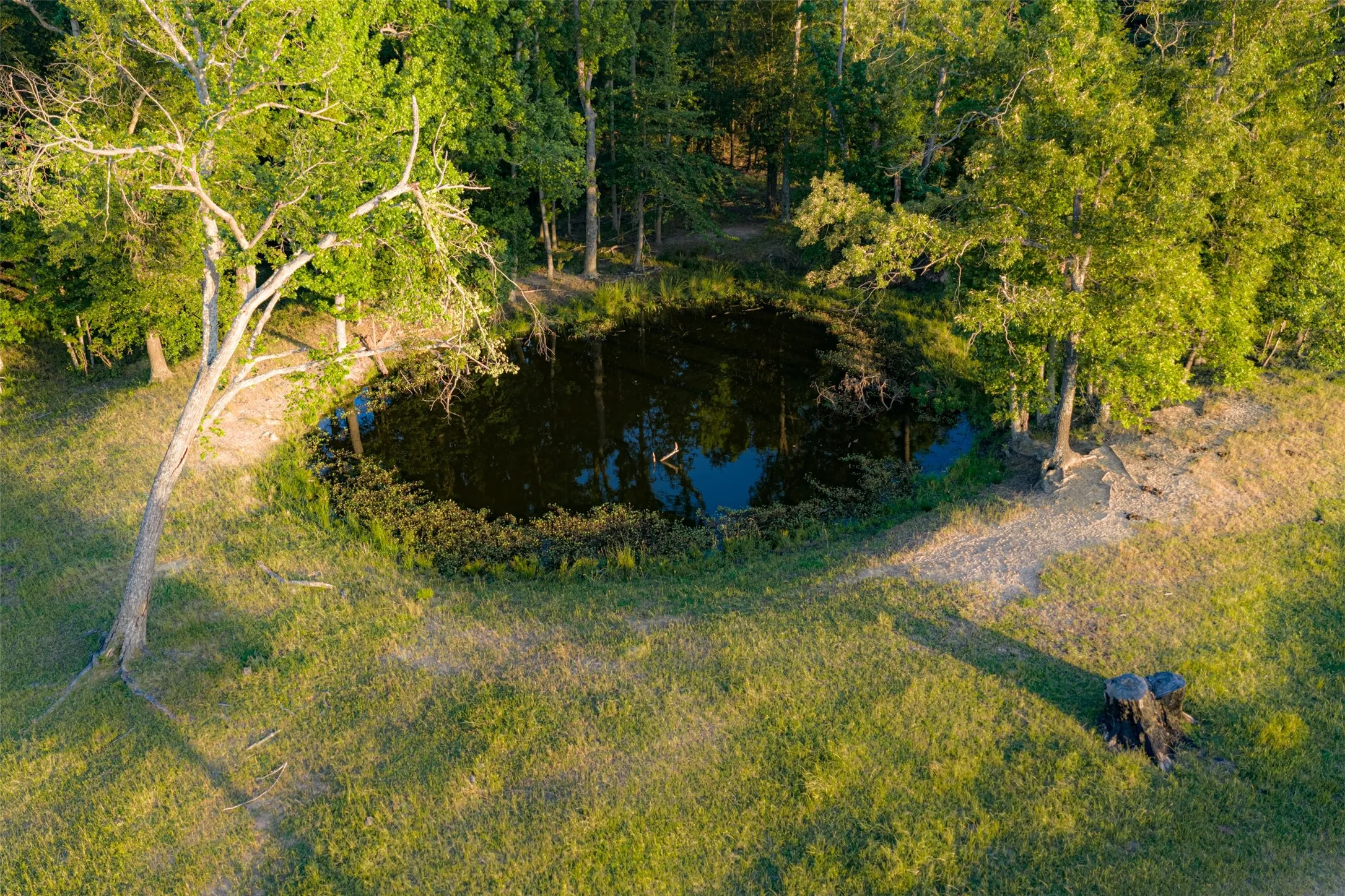 Farm For Sale in Van Zandt County , 1423 Fm 1653, Ben Wheeler, Texas 75754, 2 Bedrooms, 2 Bathrooms, Garage spaces, 1,440 Sqft, built in 2019, Price $2,349,500, mls#21274029, Real Estate Agent in Ben Wheeler, Homes For Sale in Van Zandt county, Homes For Sale in Ben Wheeler, Realtor in Ben Wheeler Texas, Real Estate Brokerage Independent Realty Texas, Luminita Cordes Realtor