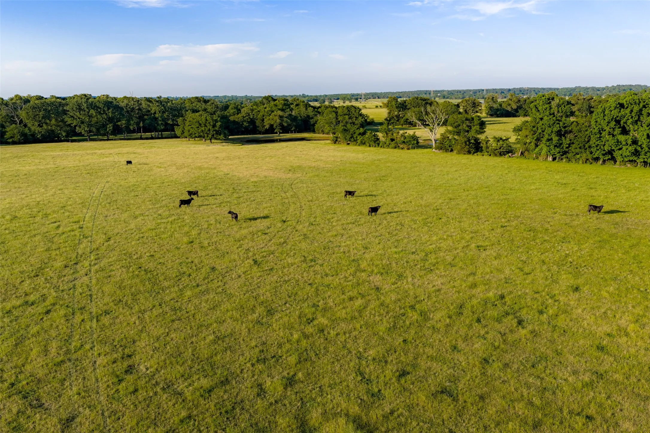 Farm For Sale in Van Zandt County , 1423 Fm 1653, Ben Wheeler, Texas 75754, 2 Bedrooms, 2 Bathrooms, Garage spaces, 1,440 Sqft, built in 2019, Price $2,349,500, mls#21274029, Real Estate Agent in Ben Wheeler, Homes For Sale in Van Zandt county, Homes For Sale in Ben Wheeler, Realtor in Ben Wheeler Texas, Real Estate Brokerage Independent Realty Texas, Luminita Cordes Realtor