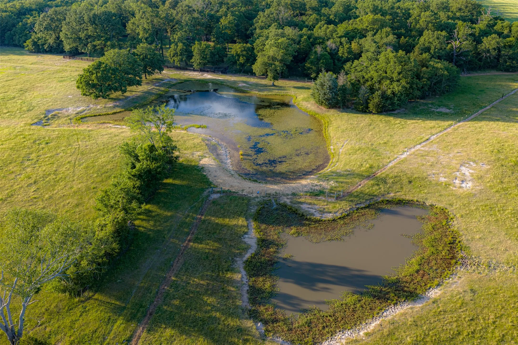 Farm For Sale in Van Zandt County , 1423 Fm 1653, Ben Wheeler, Texas 75754, 2 Bedrooms, 2 Bathrooms, Garage spaces, 1,440 Sqft, built in 2019, Price $2,349,500, mls#21274029, Real Estate Agent in Ben Wheeler, Homes For Sale in Van Zandt county, Homes For Sale in Ben Wheeler, Realtor in Ben Wheeler Texas, Real Estate Brokerage Independent Realty Texas, Luminita Cordes Realtor