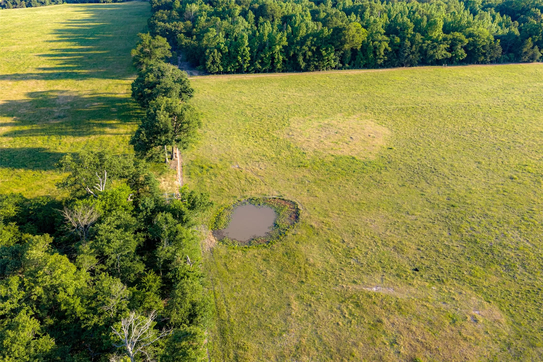 Farm For Sale in Van Zandt County , 1423 Fm 1653, Ben Wheeler, Texas 75754, 2 Bedrooms, 2 Bathrooms, Garage spaces, 1,440 Sqft, built in 2019, Price $2,349,500, mls#21274029, Real Estate Agent in Ben Wheeler, Homes For Sale in Van Zandt county, Homes For Sale in Ben Wheeler, Realtor in Ben Wheeler Texas, Real Estate Brokerage Independent Realty Texas, Luminita Cordes Realtor