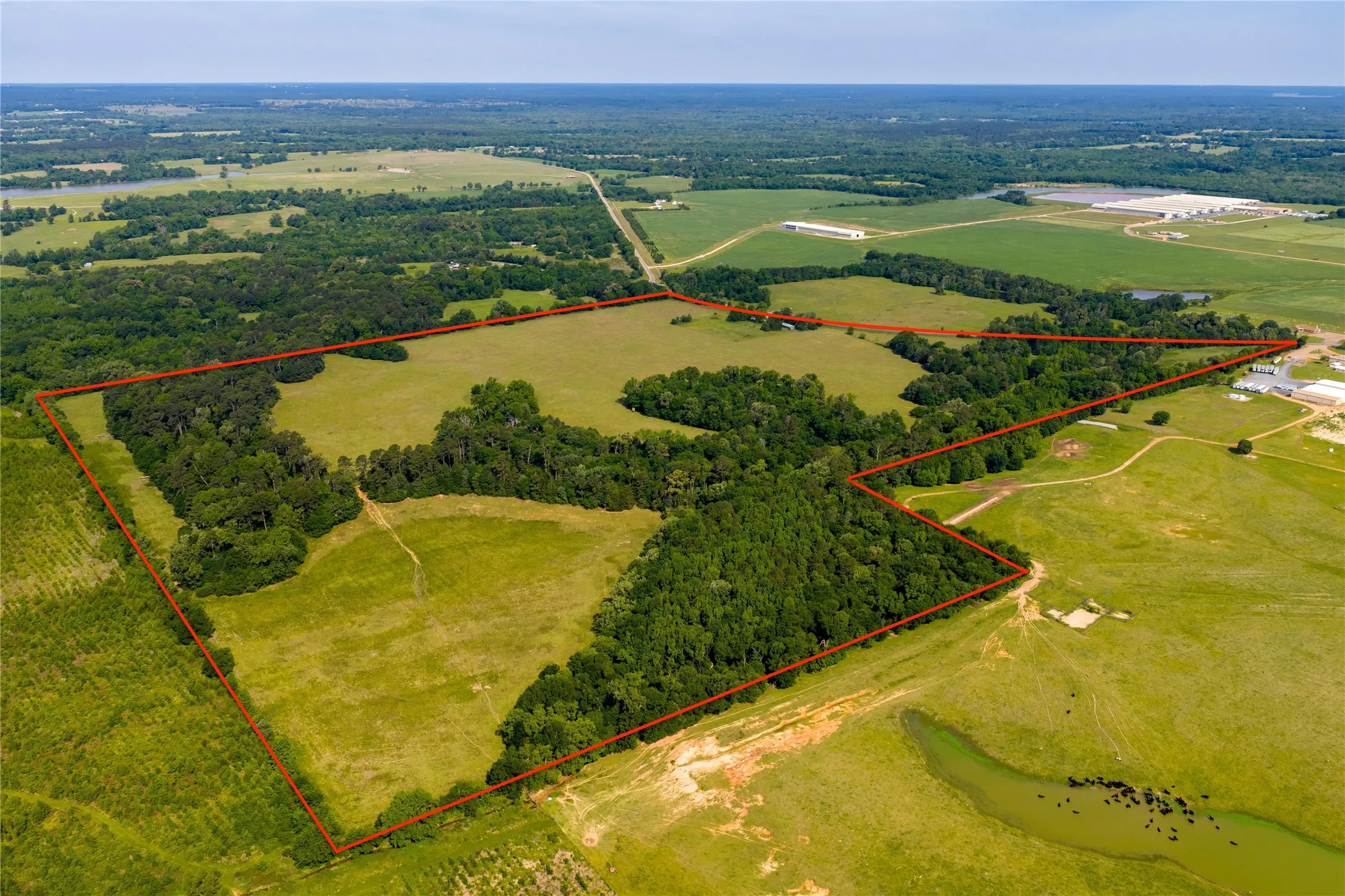 Ranch For Sale in Upshur County , 13888 FM 556, Pittsburg, Texas 75686, 0, 0, Garage spaces, 0 Sqft, built in 0, Price $850,000, mls#21274100, Real Estate Agent in Pittsburg, Homes For Sale in Upshur county, Homes For Sale in Pittsburg, Realtor in Pittsburg Texas, Real Estate Brokerage Independent Realty Texas, Luminita Cordes Realtor