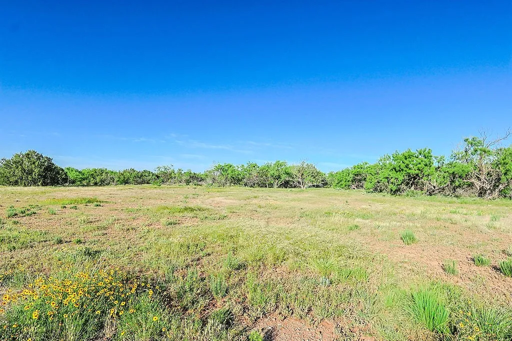 Expansive open land featuring natural grasses and scattered wildflowers