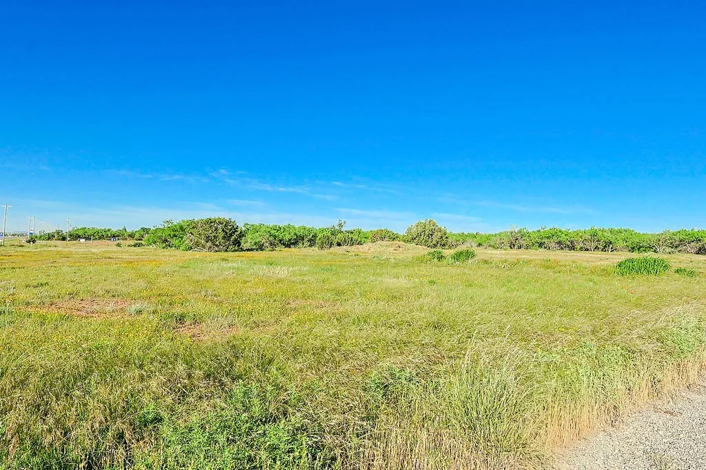 Expansive green space featuring natural grassland, mature tree line, and a clear blue sky