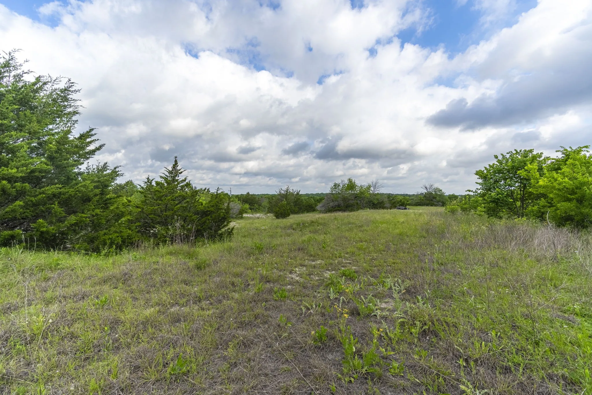 Looking to rear of property