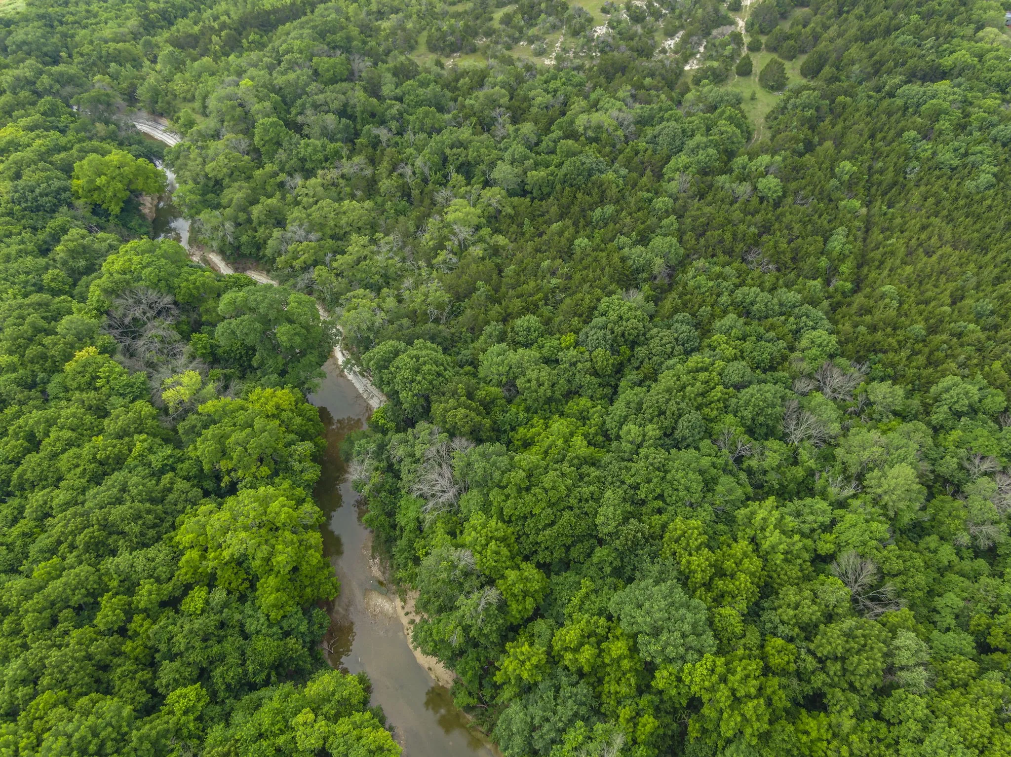 Ten Mile Creek at rear of property