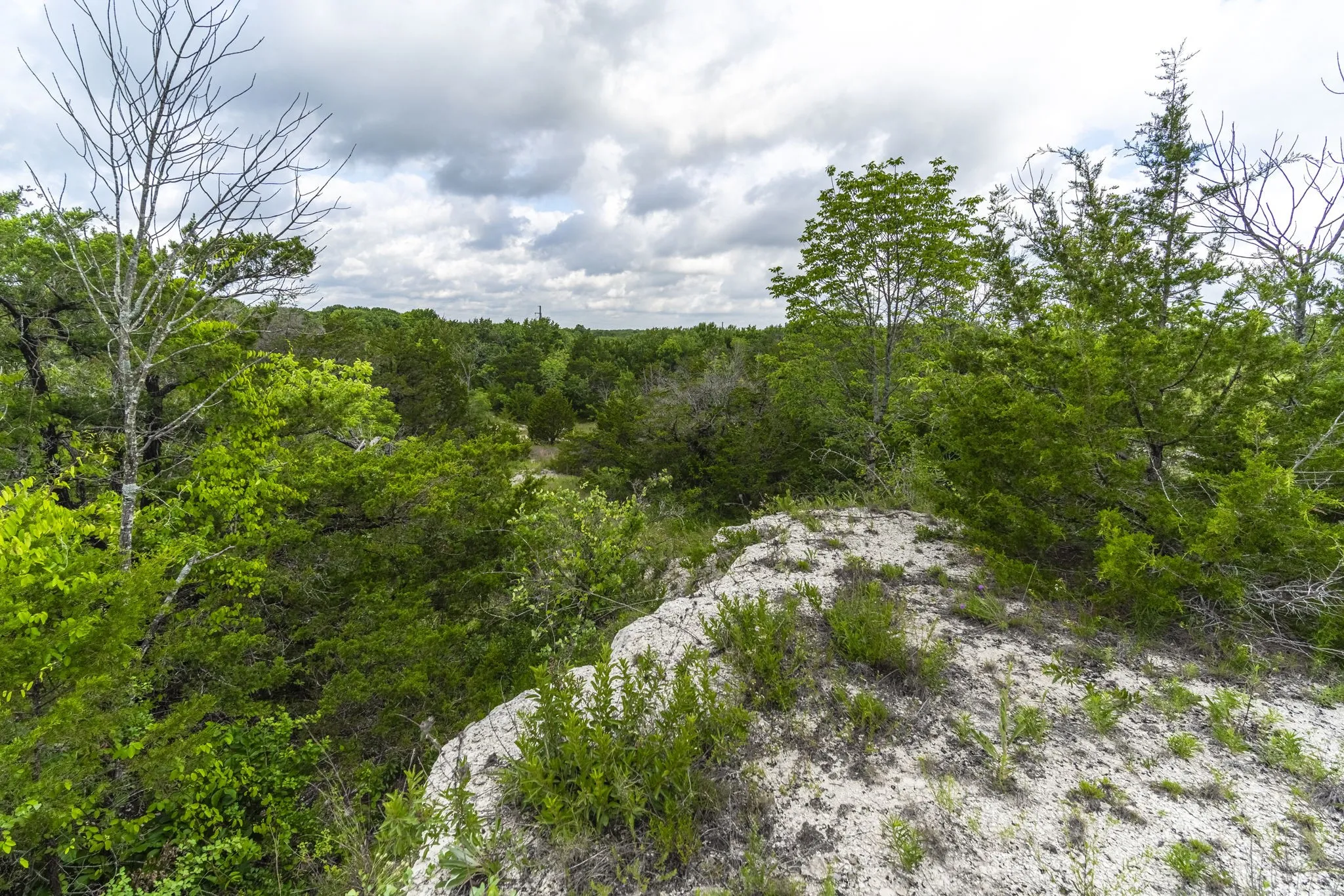 Unimproved Land For Sale in Dallas County , 824 Truman Circle, Lancaster, Texas 75146, 0, 0, Garage spaces, 0 Sqft, built in 0, mls#21274151, Real Estate Agent in Lancaster, Homes For Sale in Dallas county, Homes For Sale in Lancaster, Realtor in Lancaster Texas, Real Estate Brokerage Independent Realty Texas, Luminita Cordes Realtor