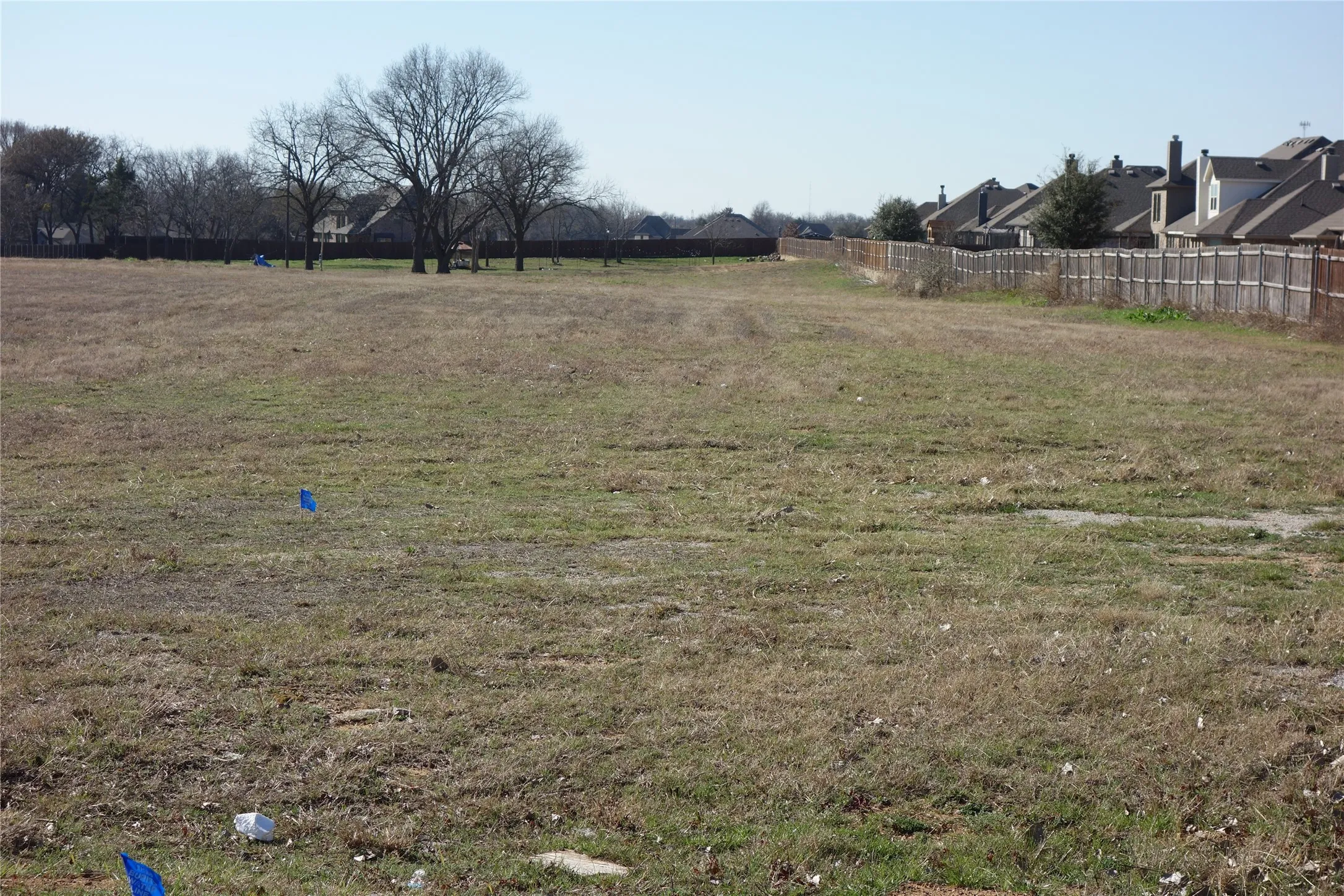 Expansive open lot with distant residential structures and mature deciduous trees