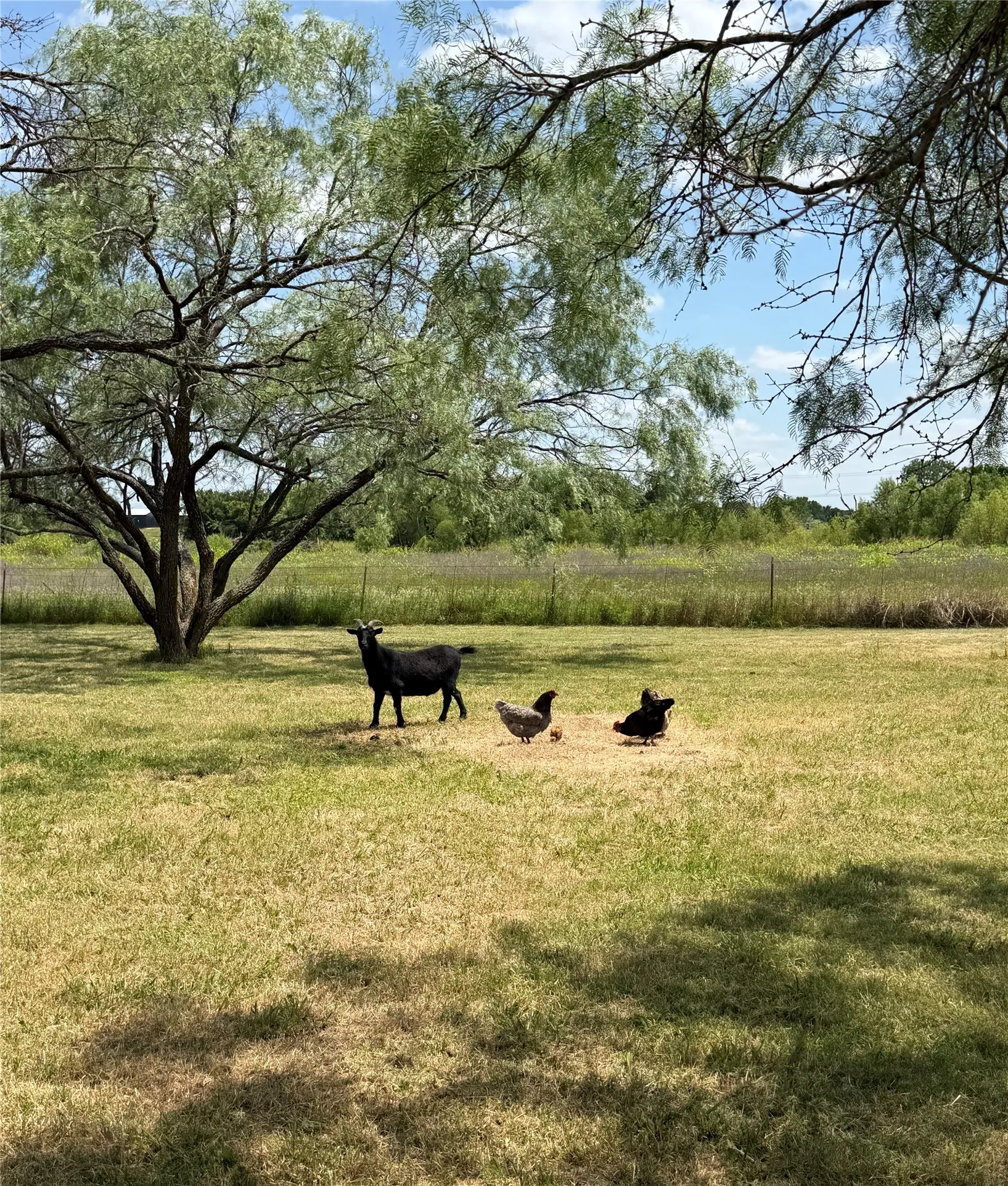 Single Family Residence For Sale in Hunt County , 5476 County Road 2646, Royse City, Texas 75189, 3 Bedroom, 2 Bathroom, 2 Garage spaces, 2,354 Sqft, built in 1999, mls#21271516, Real Estate Agent in Royse City, Homes For Sale in Hunt county, Homes For Sale in Royse City, Realtor in Royse City Texas, Real Estate Brokerage Independent Realty Texas, Luminita Cordes Realtor