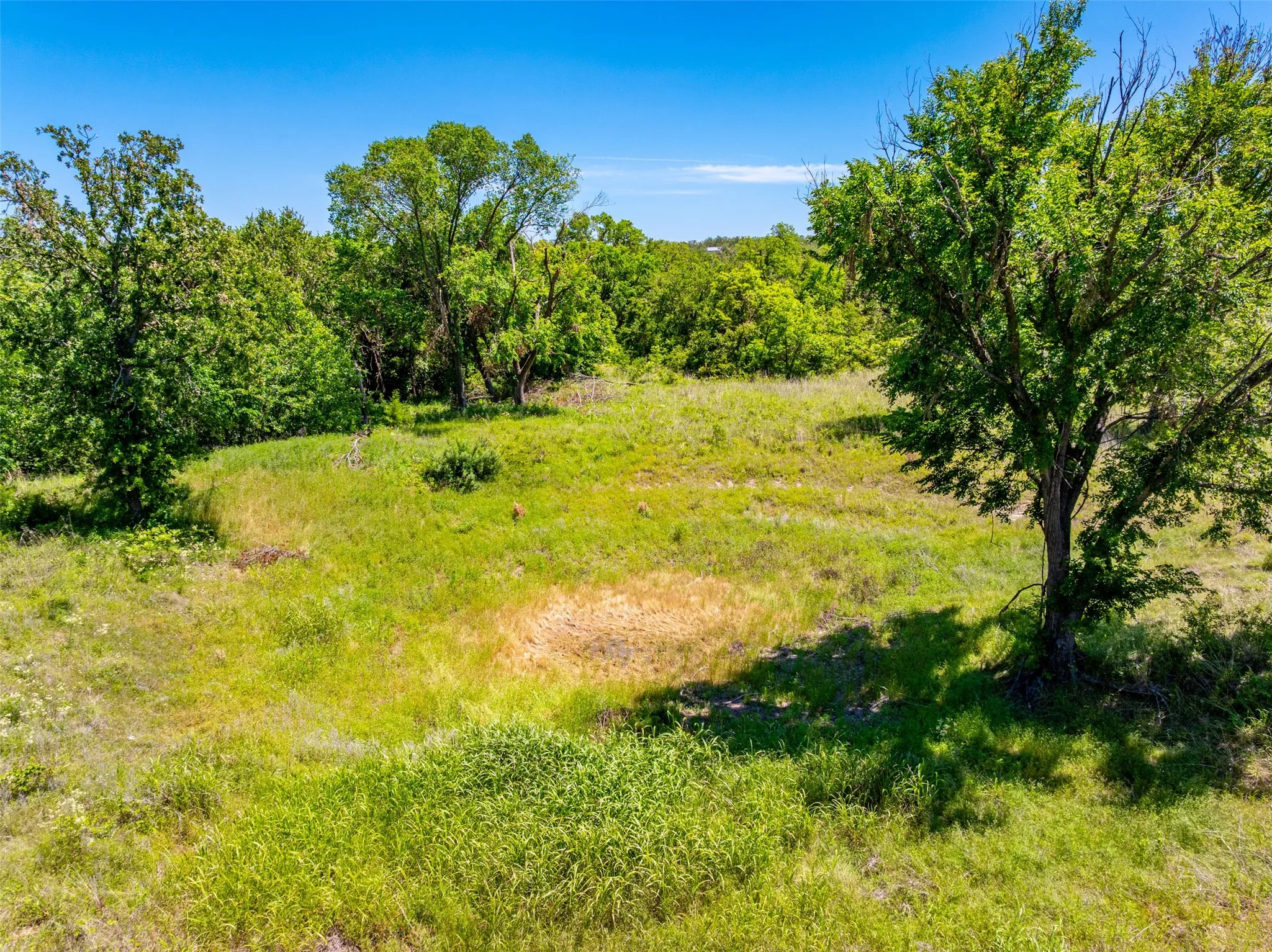 Expansive land parcel featuring mature trees, a mix of grasses, and natural foliage