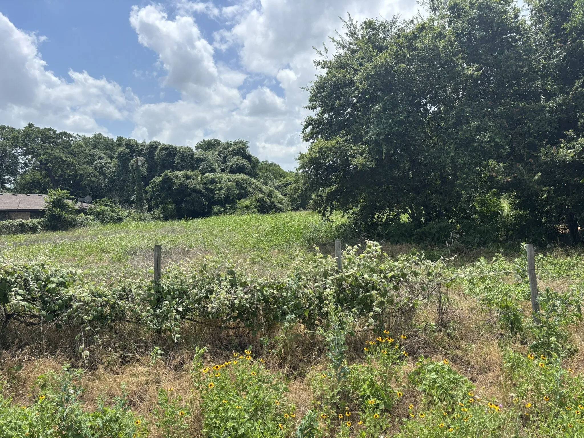 Unimproved Land For Sale in Mc Lennan County , 12999 Gholson Road, Gholson, Texas 76705, 0, 0, Garage spaces, 0 Sqft, built in 0, mls#21274148, Real Estate Agent in Gholson, Homes For Sale in Mc Lennan county, Homes For Sale in Gholson, Realtor in Gholson Texas, Real Estate Brokerage Independent Realty Texas, Luminita Cordes Realtor