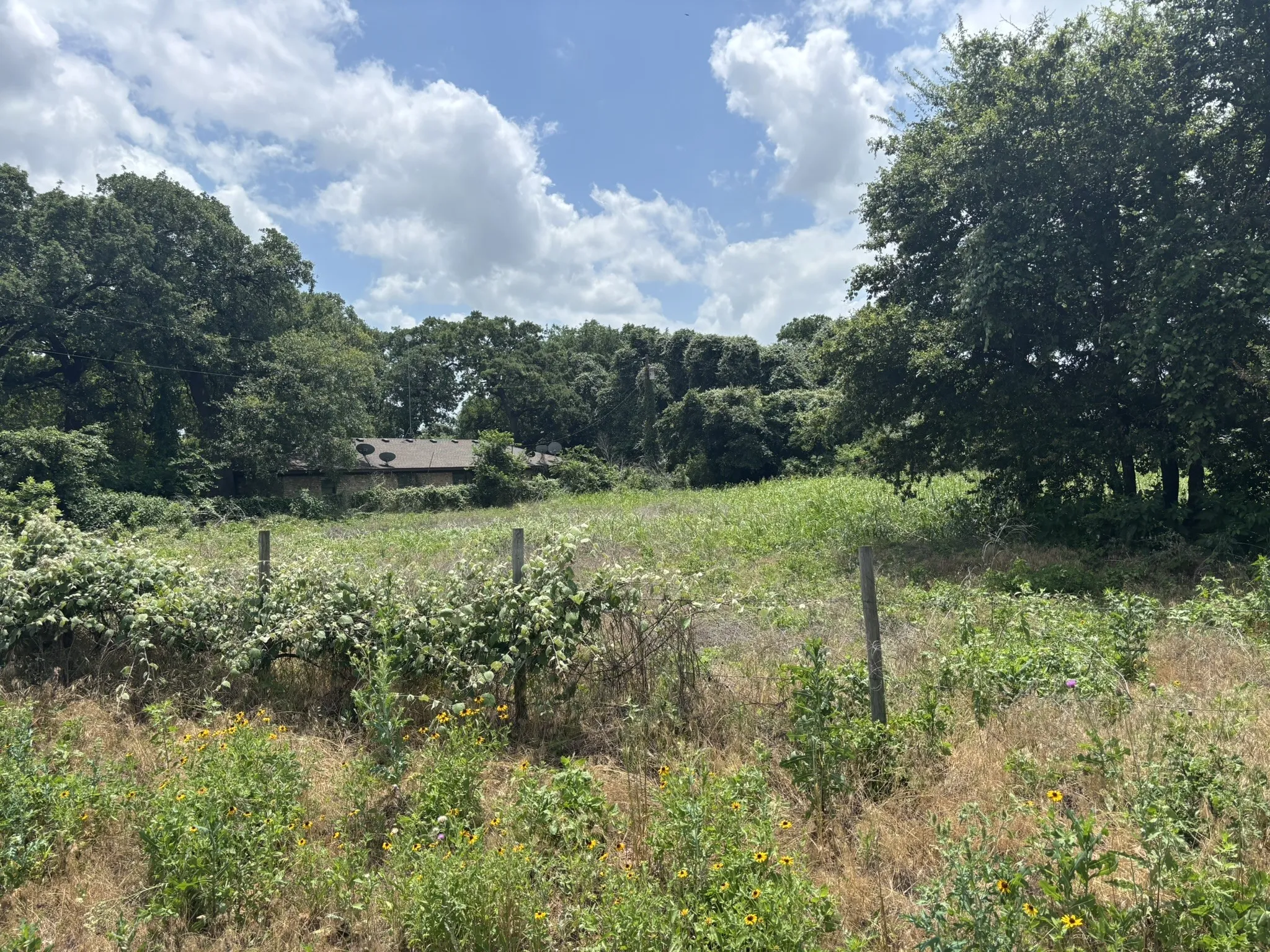 Unimproved Land For Sale in Mc Lennan County , 12999 Gholson Road, Gholson, Texas 76705, 0, 0, Garage spaces, 0 Sqft, built in 0, mls#21274148, Real Estate Agent in Gholson, Homes For Sale in Mc Lennan county, Homes For Sale in Gholson, Realtor in Gholson Texas, Real Estate Brokerage Independent Realty Texas, Luminita Cordes Realtor