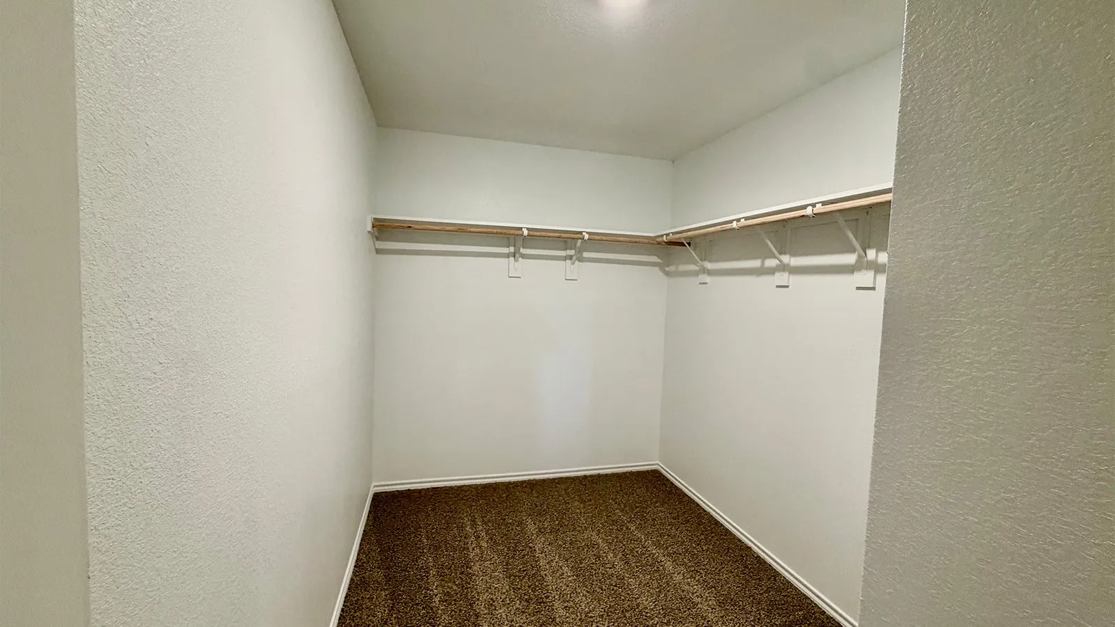 Walk-in closet featuring plush brown carpeting and white walls