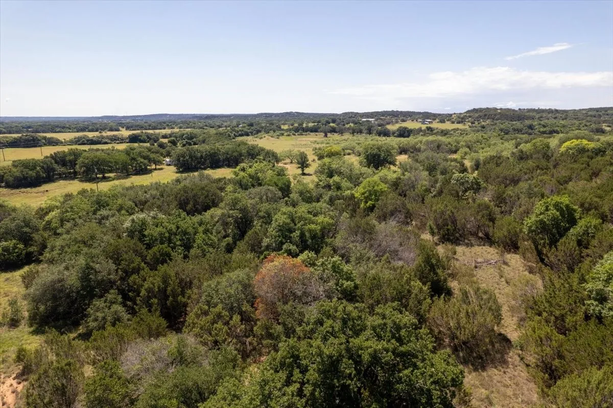 Expansive undeveloped acreage featuring diverse tree coverage and open clearings