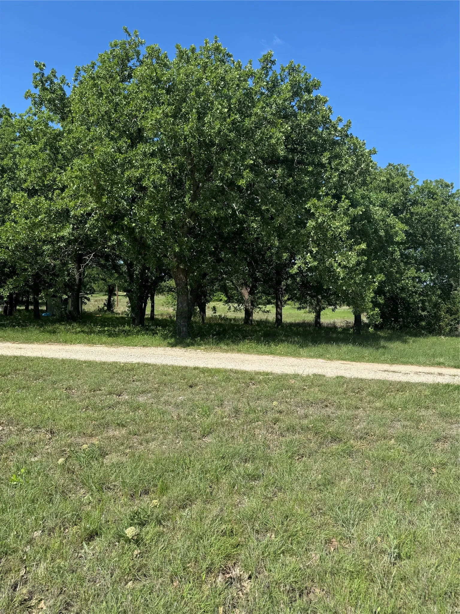 Expansive grassy area featuring a gravel path and a border of mature deciduous trees