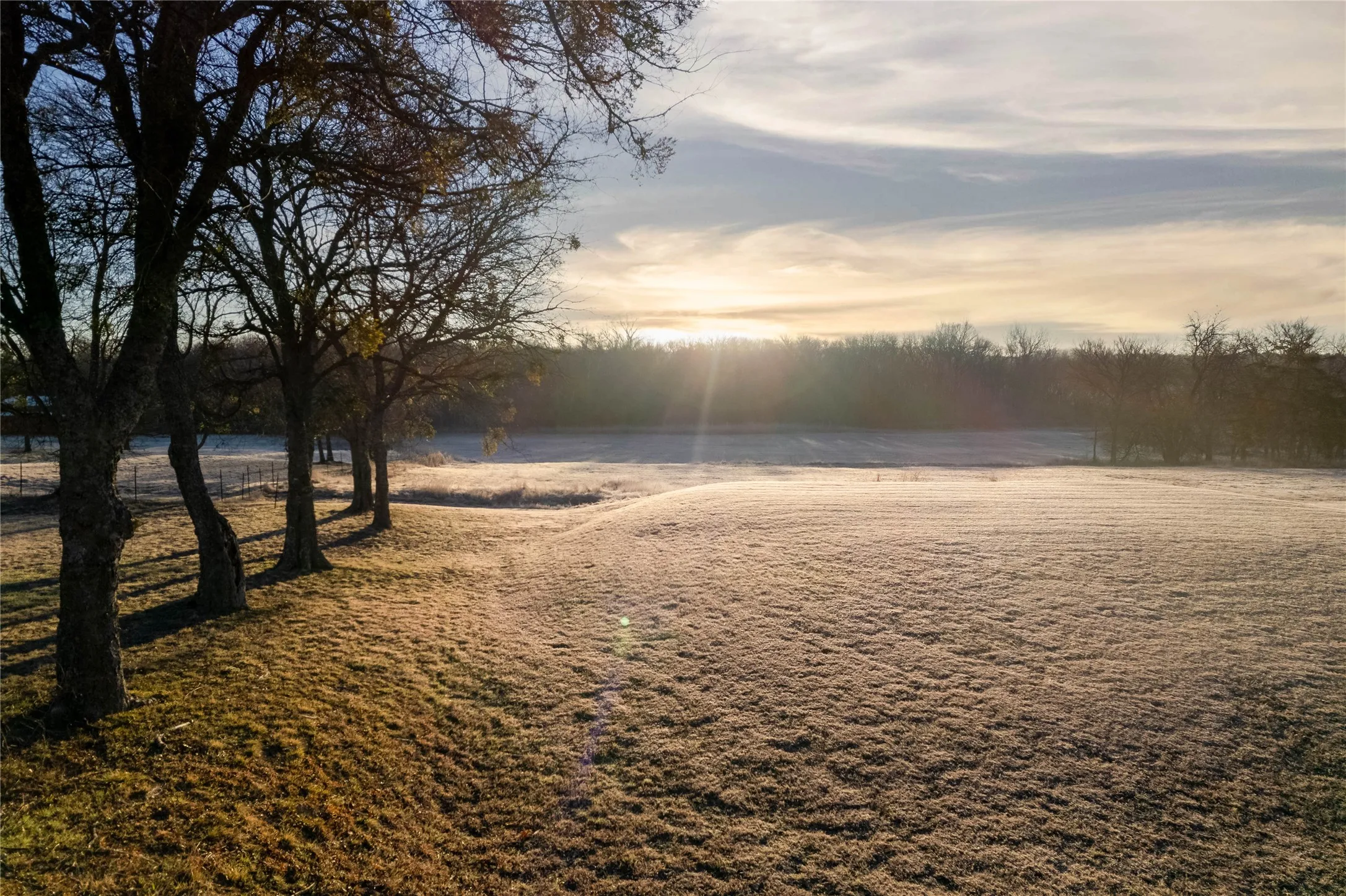 Expansive natural landscape featuring a treeline, open fields, and a distant tree-covered horizon