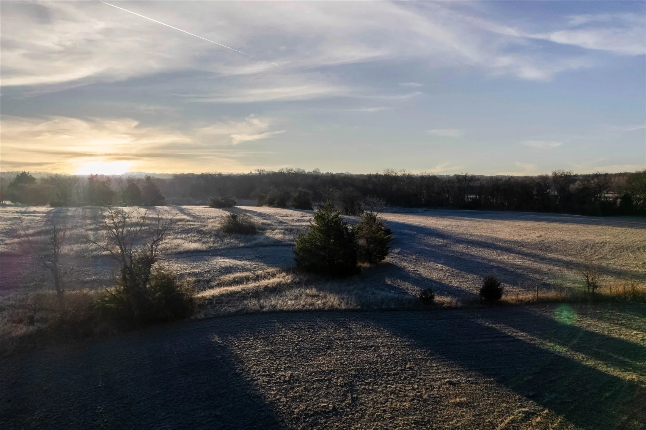 Expansive agricultural fields with distant treeline and scattered evergreen trees