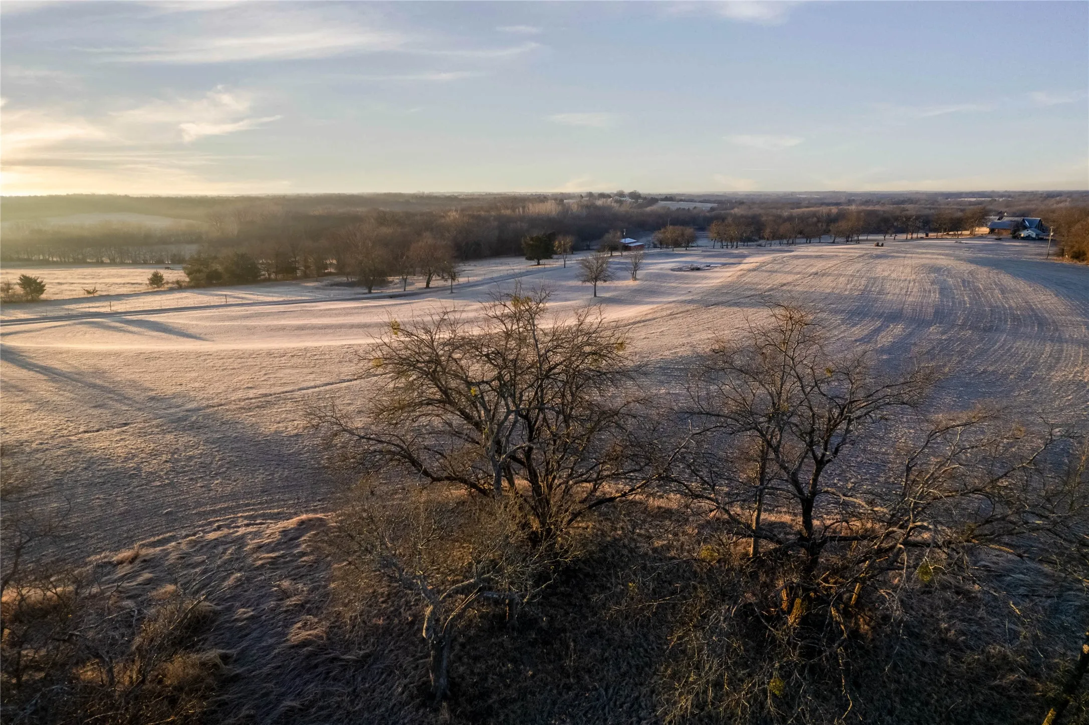 Expansive open fields with scattered mature trees and distant structures