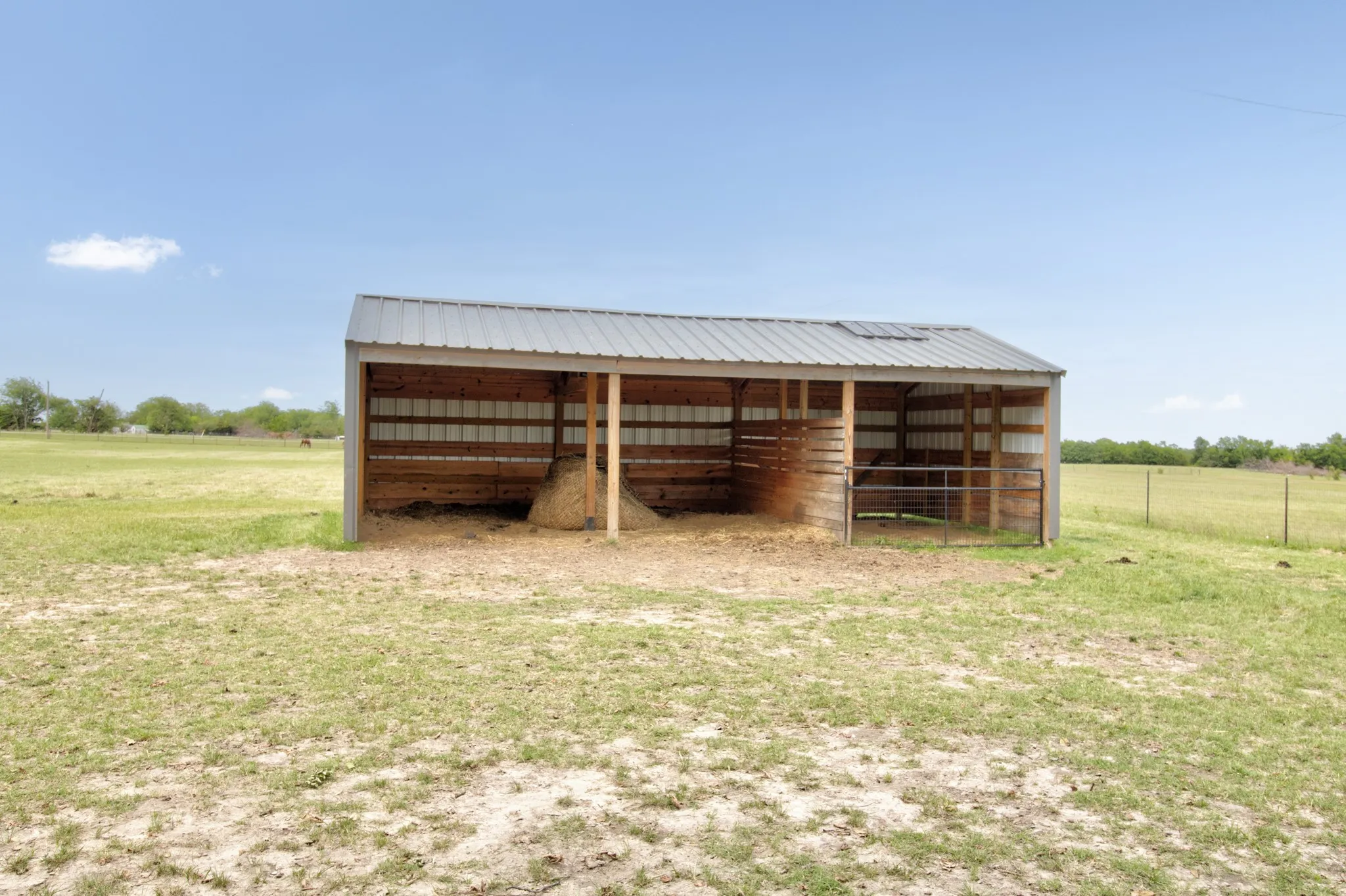 Loafing Shed!