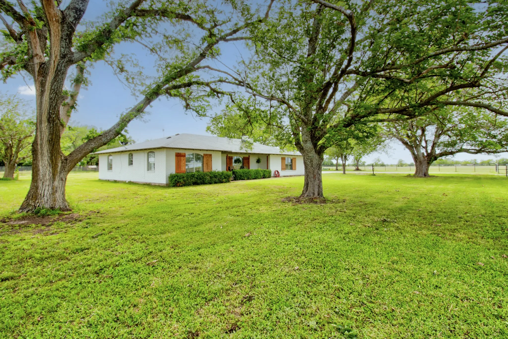 Mature Trees, and lush green grass!