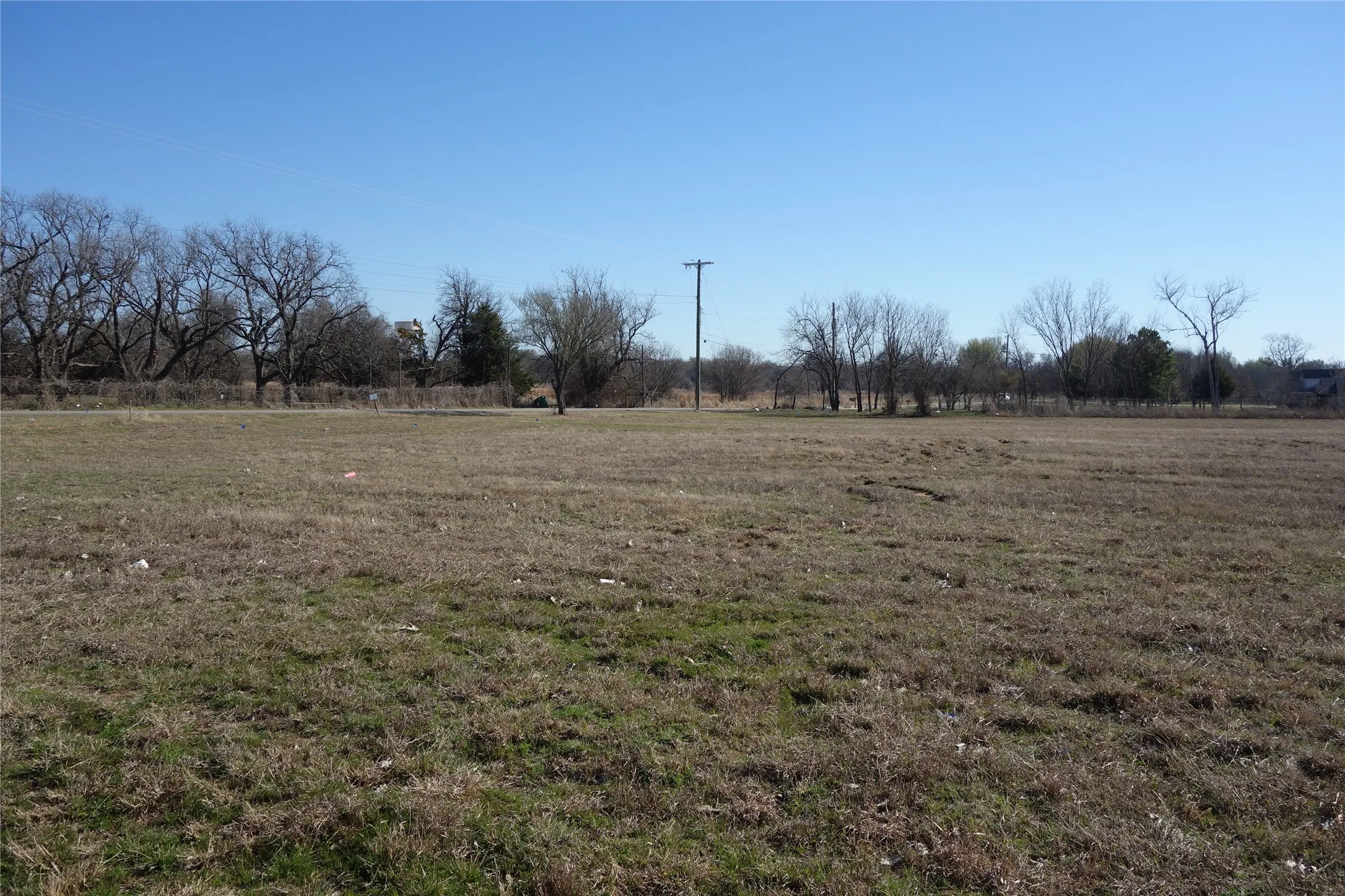 Expansive open land area with natural ground cover