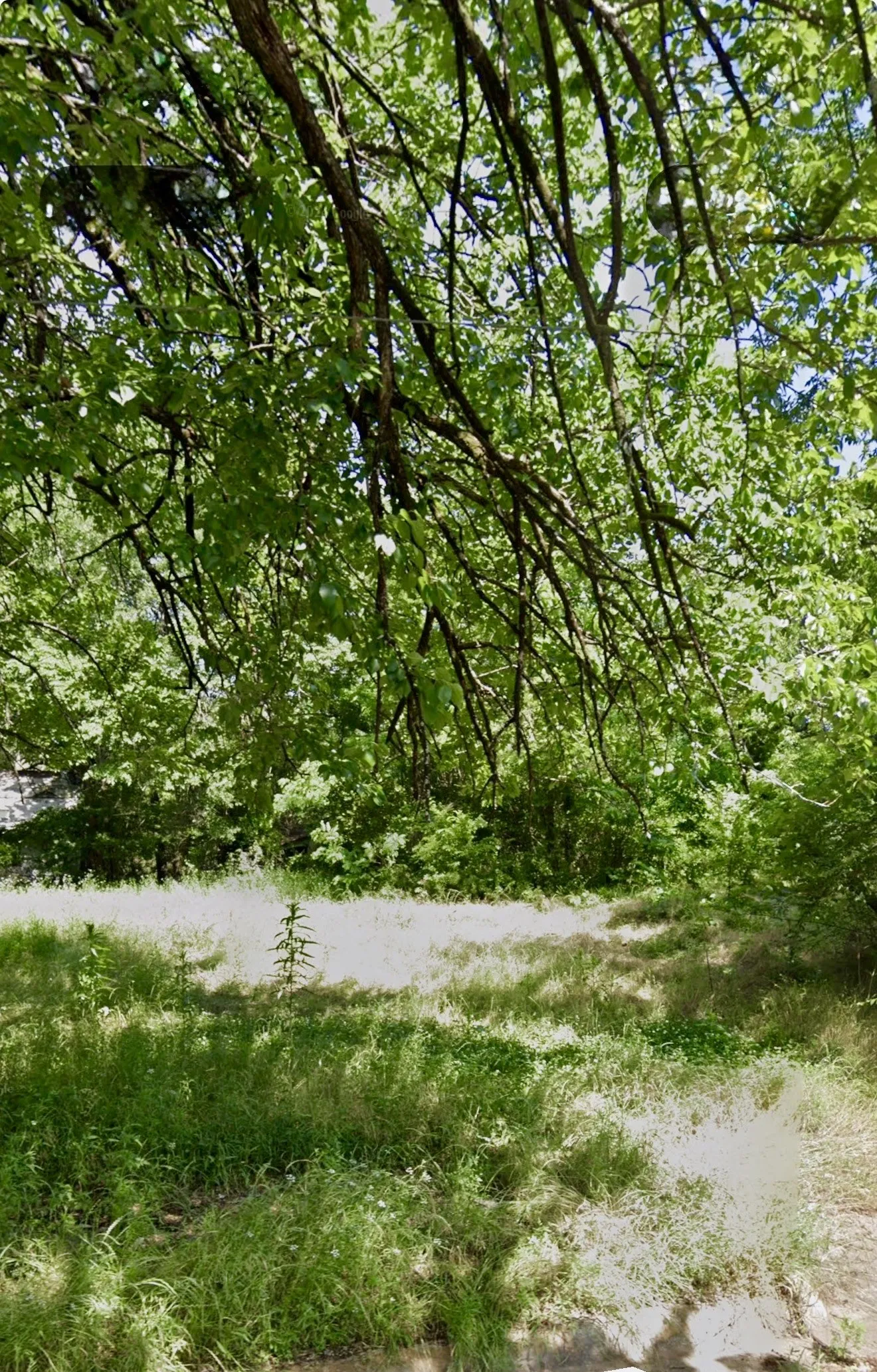 Unimproved Land For Sale in Lamar County , 664 5th Street NW, Paris, Texas 75460, 0, 0, Garage spaces, 0 Sqft, built in 0, Price $30,000, mls#21274316, Real Estate Agent in Paris, Homes For Sale in Lamar county, Homes For Sale in Paris, Realtor in Paris Texas, Real Estate Brokerage Independent Realty Texas, Luminita Cordes Realtor