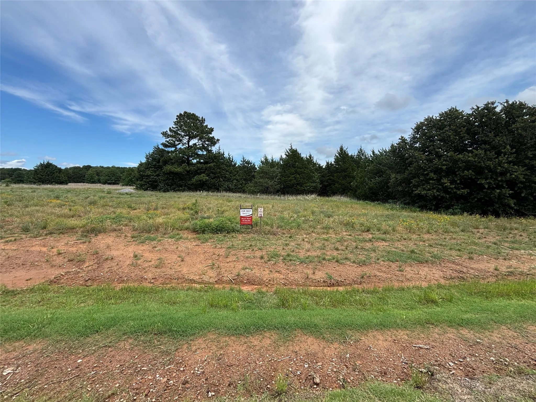 Unimproved Land For Sale in Grayson County , Lot 48 White Tail Way, Pottsboro, Texas 75076, 0, 0, Garage spaces, 0 Sqft, built in 0, Price $220,000, mls#21274120, Real Estate Agent in Pottsboro, Homes For Sale in Grayson county, Homes For Sale in Pottsboro, Realtor in Pottsboro Texas, Real Estate Brokerage Independent Realty Texas, Luminita Cordes Realtor