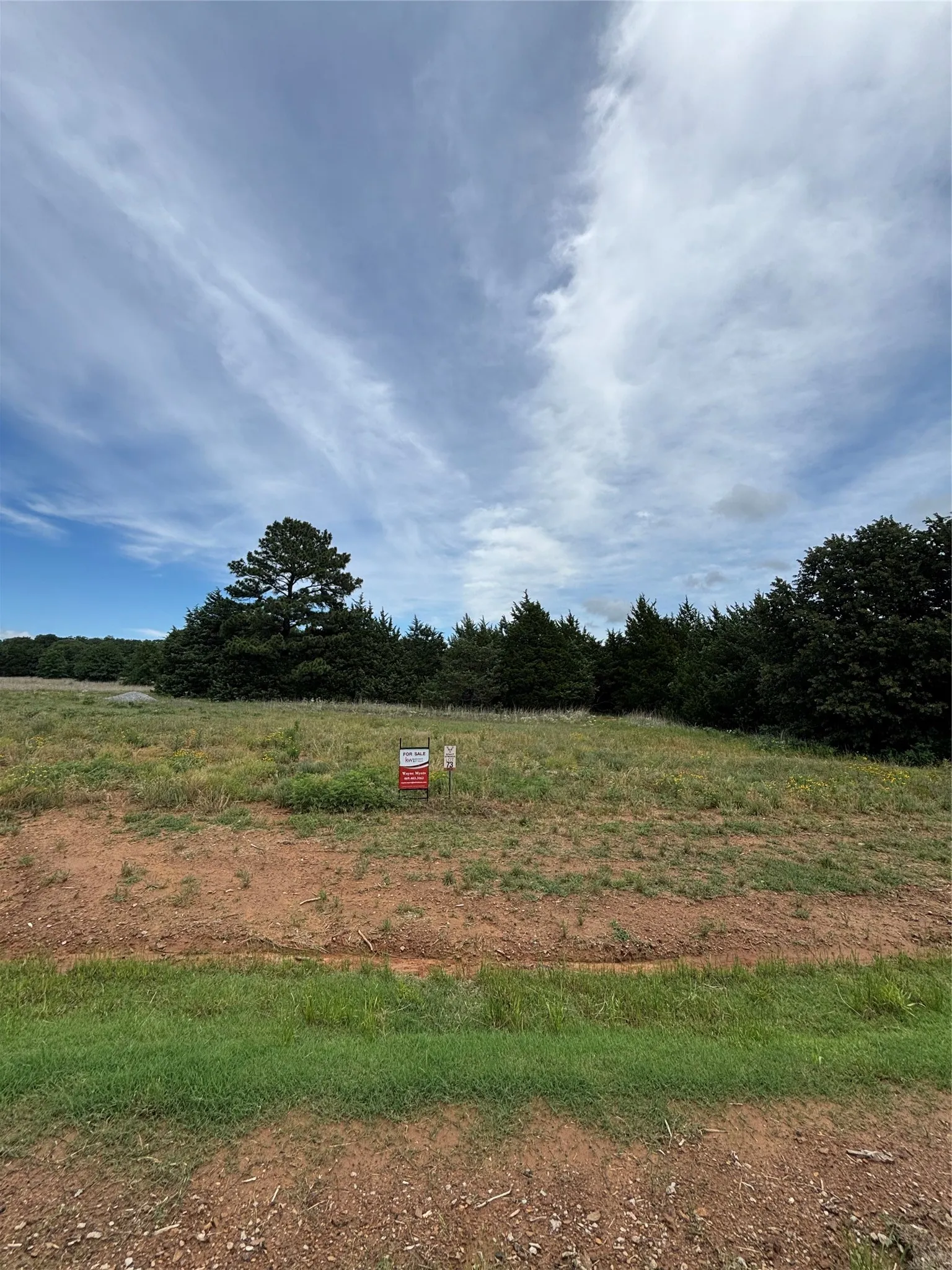 Unimproved Land For Sale in Grayson County , Lot 42 White Tail Way Road, Pottsboro, Texas 75076, 0, 0, Garage spaces, 0 Sqft, built in 0, Price $199,900, mls#21274123, Real Estate Agent in Pottsboro, Homes For Sale in Grayson county, Homes For Sale in Pottsboro, Realtor in Pottsboro Texas, Real Estate Brokerage Independent Realty Texas, Luminita Cordes Realtor