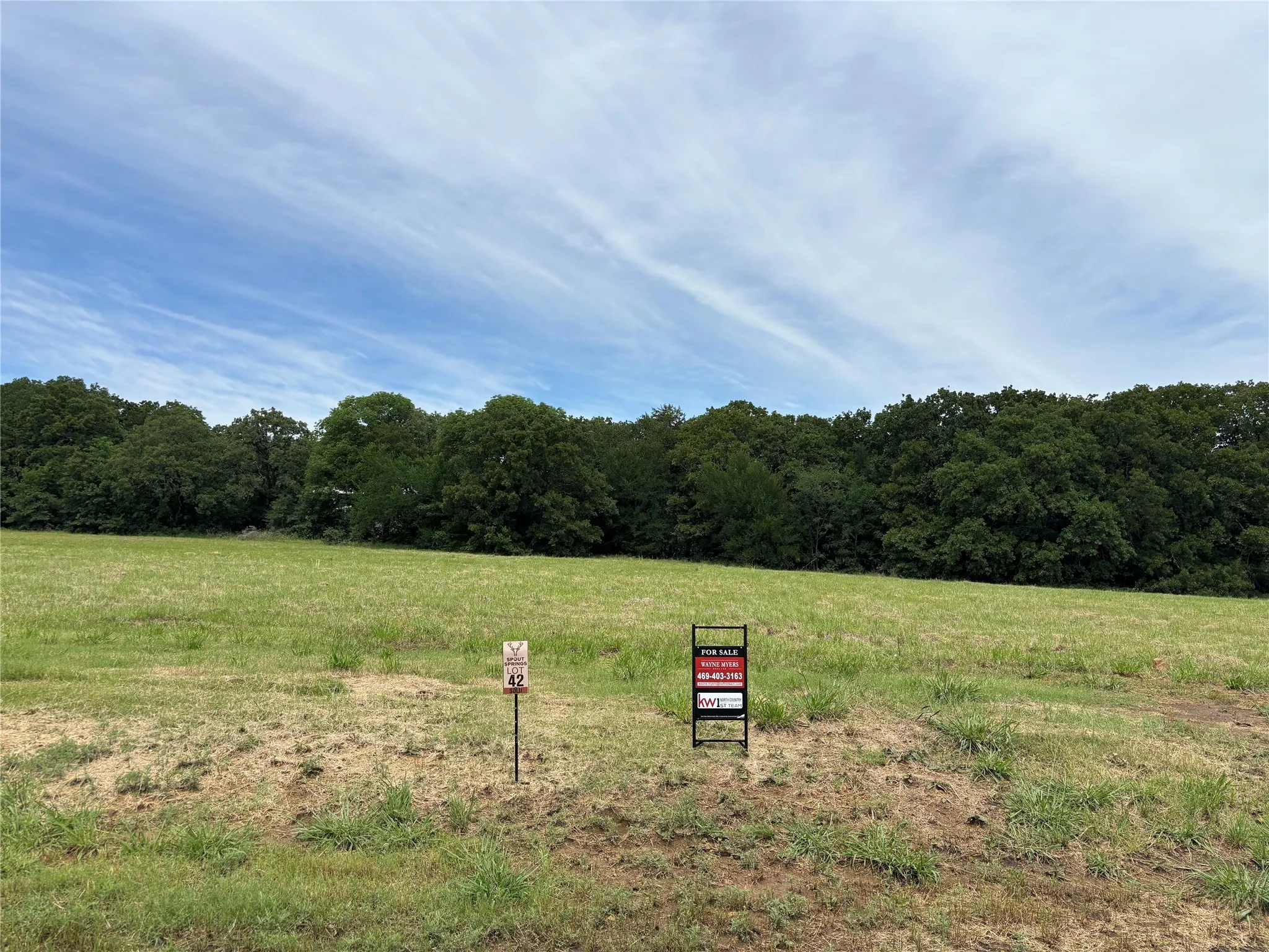 Unimproved Land For Sale in Grayson County , Lot 42 White Tail Way Road, Pottsboro, Texas 75076, 0, 0, Garage spaces, 0 Sqft, built in 0, Price $199,900, mls#21274123, Real Estate Agent in Pottsboro, Homes For Sale in Grayson county, Homes For Sale in Pottsboro, Realtor in Pottsboro Texas, Real Estate Brokerage Independent Realty Texas, Luminita Cordes Realtor