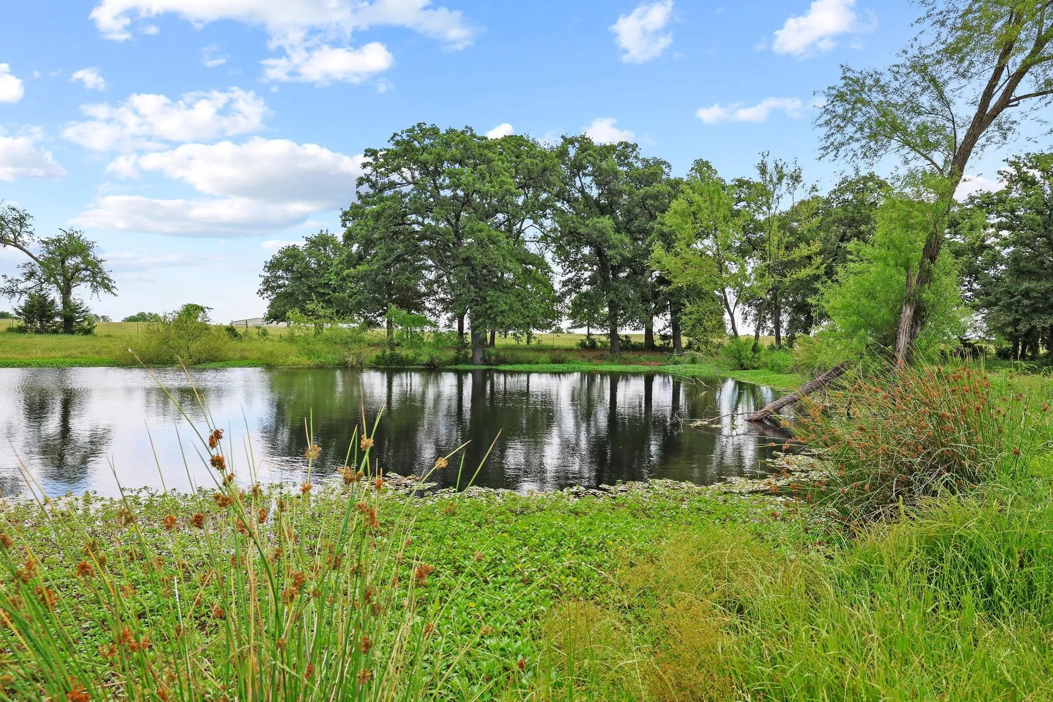 Single Family Residence For Sale in Grayson County , 25172 US Highway 377, Whitesboro, Texas 76273, 3 Bedroom, 2 Bathroom, Garage spaces, 1,500 Sqft, built in 1983, mls#21274192, Real Estate Agent in Whitesboro, Homes For Sale in Grayson county, Homes For Sale in Whitesboro, Realtor in Whitesboro Texas, Real Estate Brokerage Independent Realty Texas, Luminita Cordes Realtor