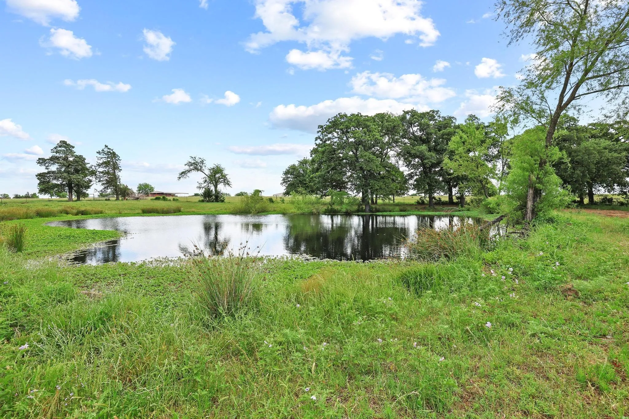 Single Family Residence For Sale in Grayson County , 25172 US Highway 377, Whitesboro, Texas 76273, 3 Bedroom, 2 Bathroom, Garage spaces, 1,500 Sqft, built in 1983, mls#21274192, Real Estate Agent in Whitesboro, Homes For Sale in Grayson county, Homes For Sale in Whitesboro, Realtor in Whitesboro Texas, Real Estate Brokerage Independent Realty Texas, Luminita Cordes Realtor