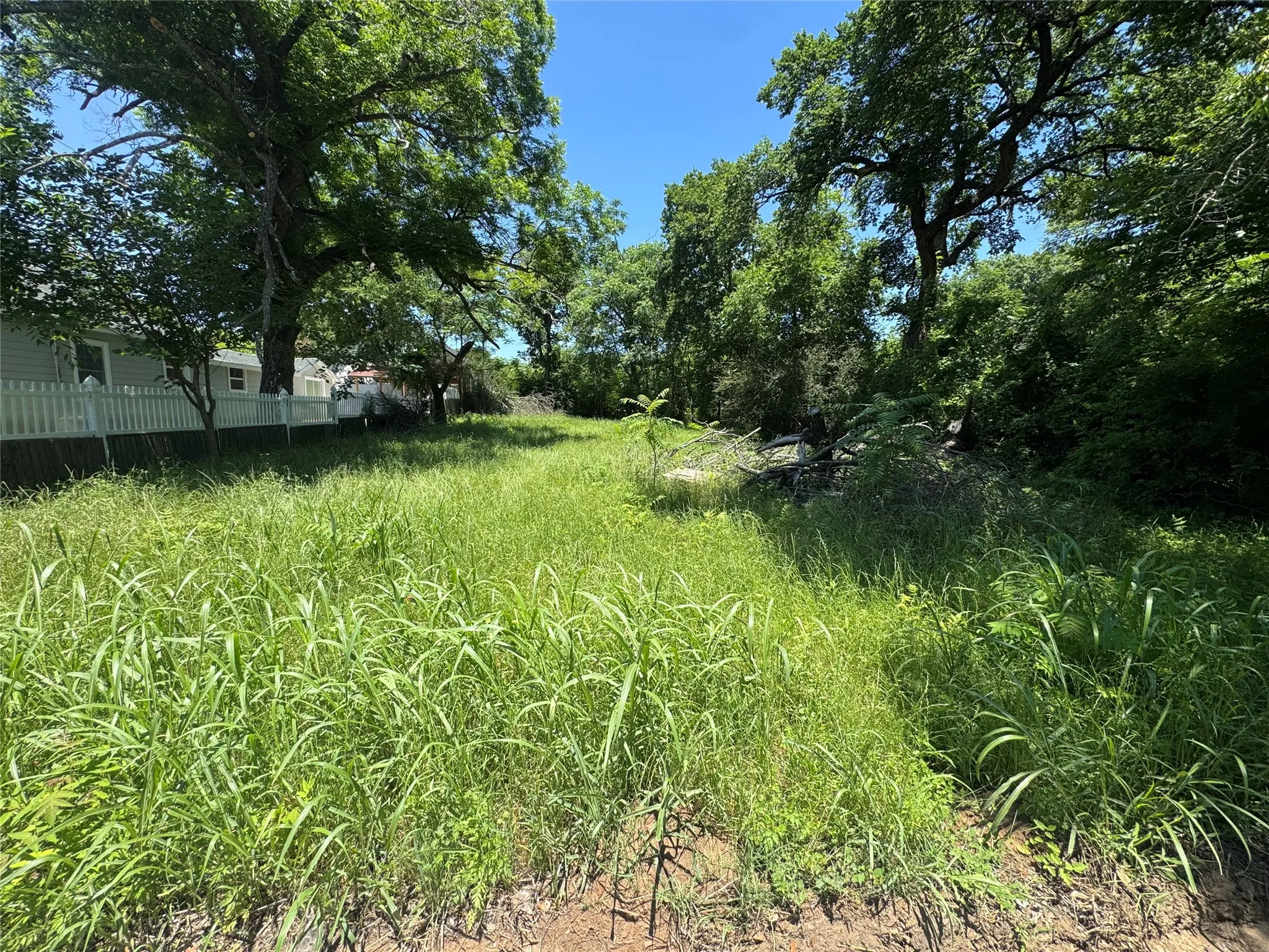 Unimproved Land For Sale in Johnson County , 703 Olive Street, Cleburne, Texas 76031, 0, 0, Garage spaces, 0 Sqft, built in 0, Price $29,000, mls#21274457, Real Estate Agent in Cleburne, Homes For Sale in Johnson county, Homes For Sale in Cleburne, Realtor in Cleburne Texas, Real Estate Brokerage Independent Realty Texas, Luminita Cordes Realtor