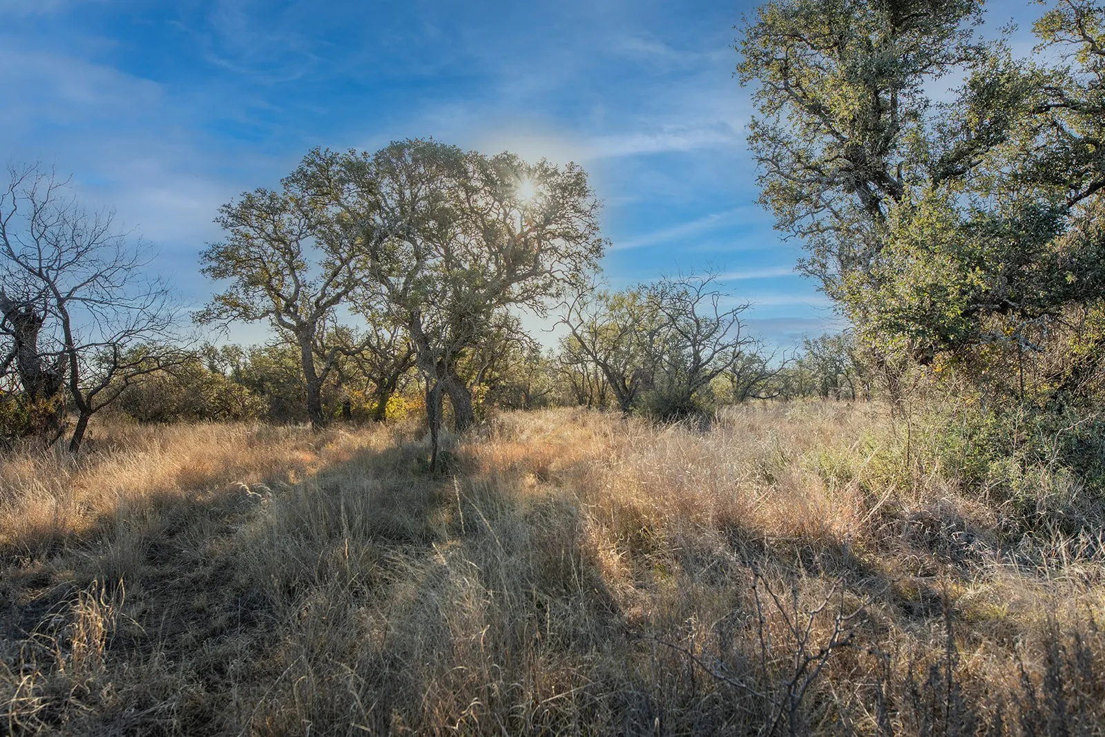 Improved Land For Sale in Mc Culloch County , 371 Axis Court, Melvin, Texas 76858, 0, 0, Garage spaces, 0 Sqft, built in 2025, mls#21274540, Real Estate Agent in Melvin, Homes For Sale in Mc Culloch county, Homes For Sale in Melvin, Realtor in Melvin Texas, Real Estate Brokerage Independent Realty Texas, Luminita Cordes Realtor