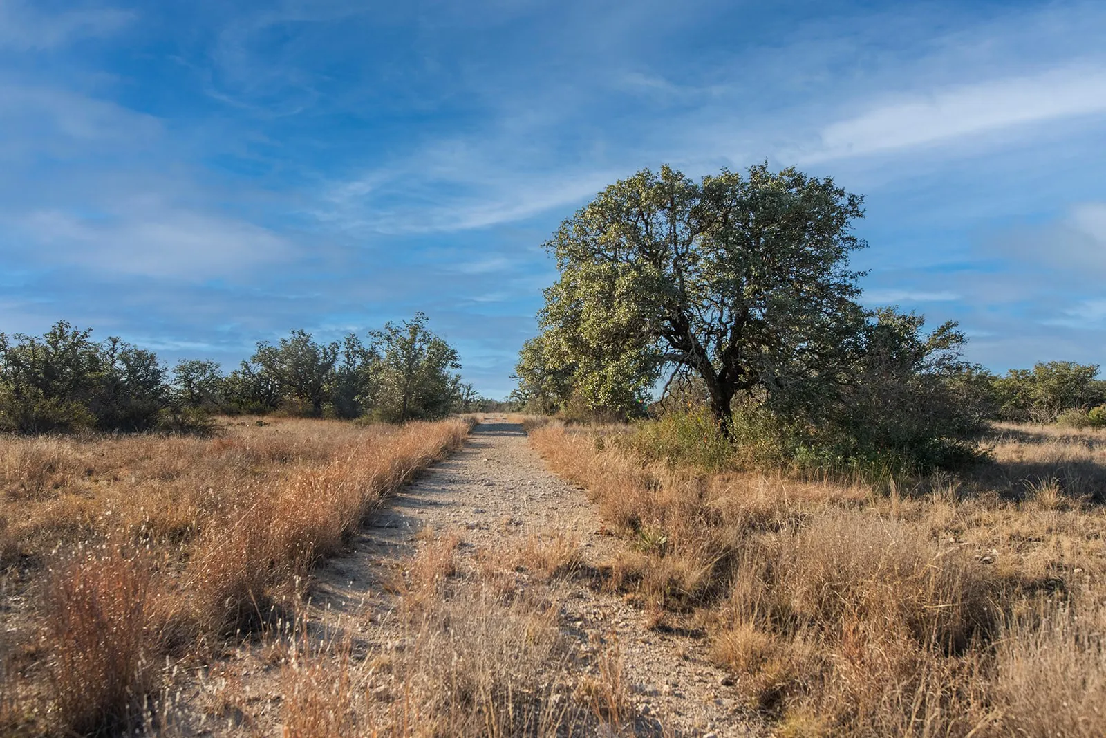 Improved Land For Sale in Mc Culloch County , 371 Axis Court, Melvin, Texas 76858, 0, 0, Garage spaces, 0 Sqft, built in 2025, mls#21274540, Real Estate Agent in Melvin, Homes For Sale in Mc Culloch county, Homes For Sale in Melvin, Realtor in Melvin Texas, Real Estate Brokerage Independent Realty Texas, Luminita Cordes Realtor