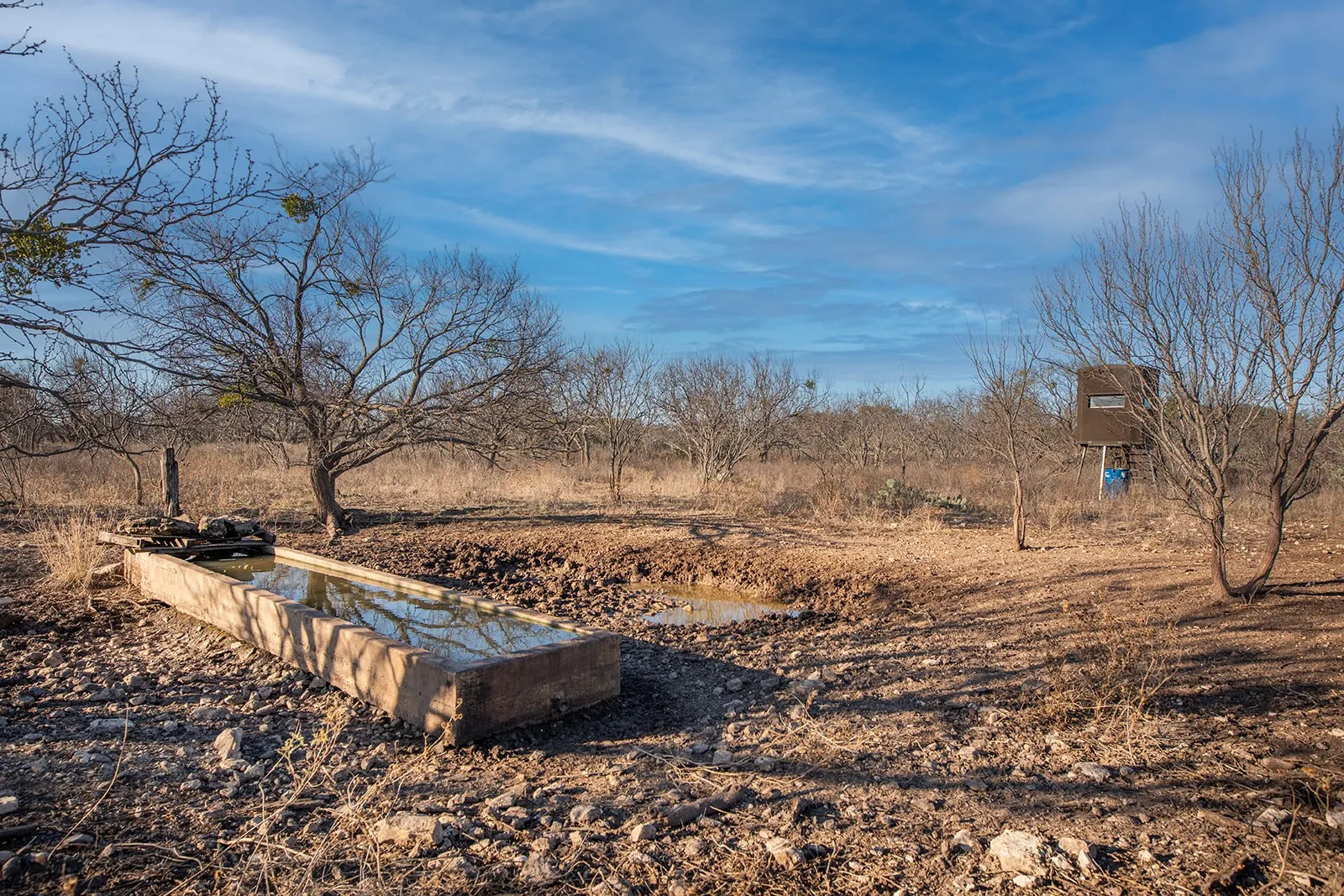 Improved Land For Sale in Mc Culloch County , 371 Axis Court, Melvin, Texas 76858, 0, 0, Garage spaces, 0 Sqft, built in 2025, mls#21274540, Real Estate Agent in Melvin, Homes For Sale in Mc Culloch county, Homes For Sale in Melvin, Realtor in Melvin Texas, Real Estate Brokerage Independent Realty Texas, Luminita Cordes Realtor