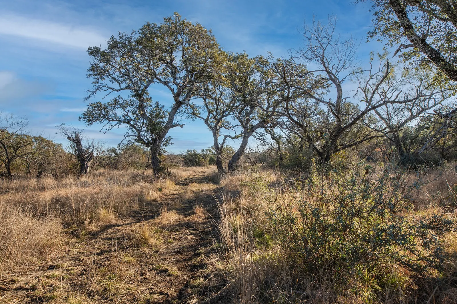 Improved Land For Sale in Mc Culloch County , 371 Axis Court, Melvin, Texas 76858, 0, 0, Garage spaces, 0 Sqft, built in 2025, mls#21274540, Real Estate Agent in Melvin, Homes For Sale in Mc Culloch county, Homes For Sale in Melvin, Realtor in Melvin Texas, Real Estate Brokerage Independent Realty Texas, Luminita Cordes Realtor