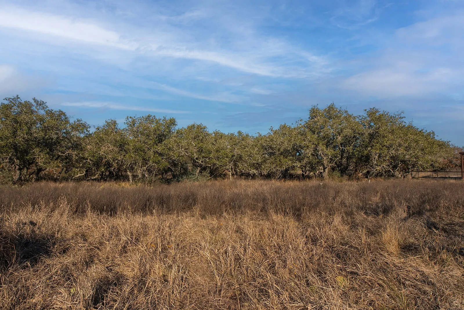 Improved Land For Sale in Mc Culloch County , 371 Axis Court, Melvin, Texas 76858, 0, 0, Garage spaces, 0 Sqft, built in 2025, mls#21274540, Real Estate Agent in Melvin, Homes For Sale in Mc Culloch county, Homes For Sale in Melvin, Realtor in Melvin Texas, Real Estate Brokerage Independent Realty Texas, Luminita Cordes Realtor