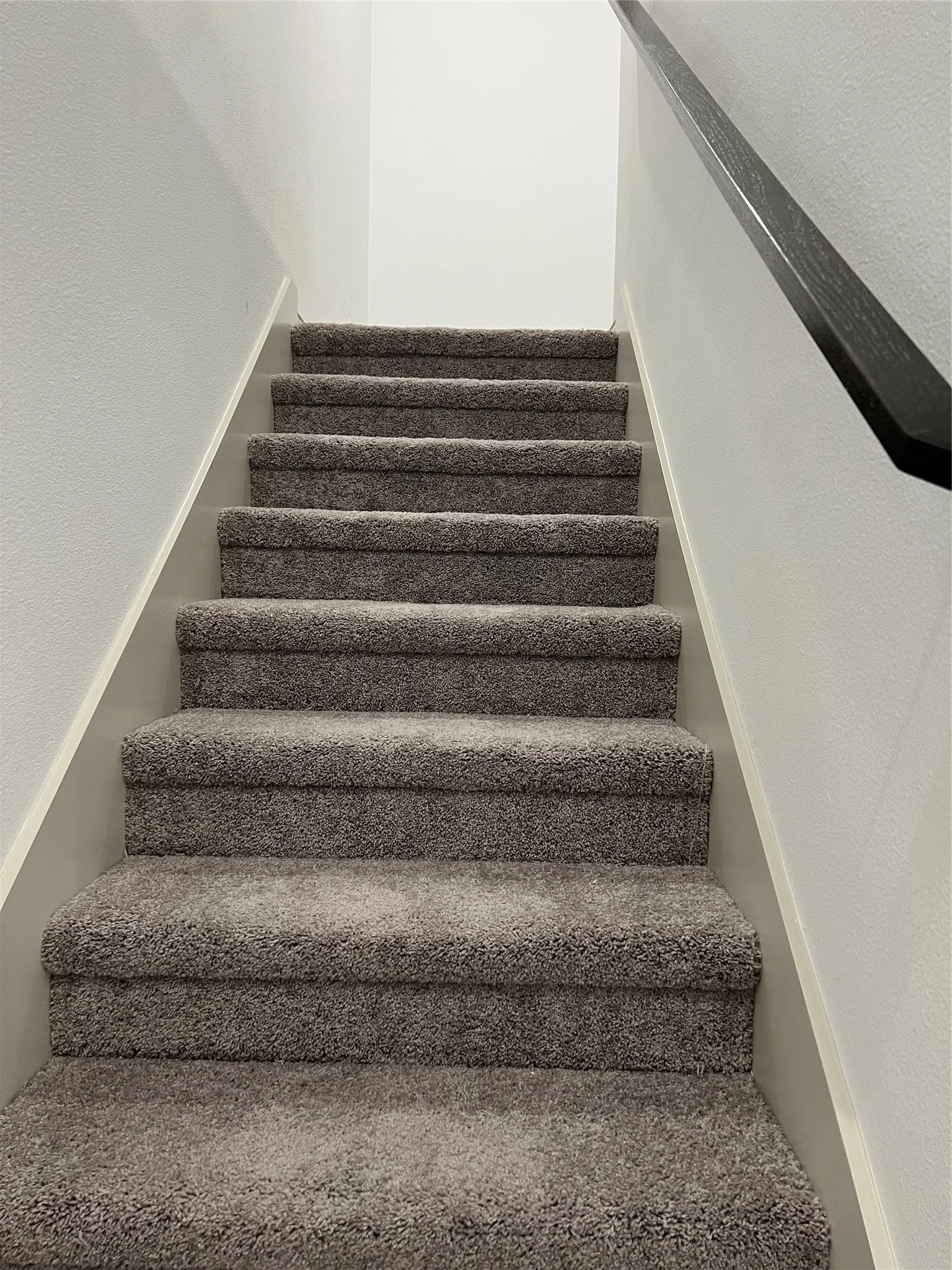 Staircase featuring grey plush carpeting and a dark-toned handrail