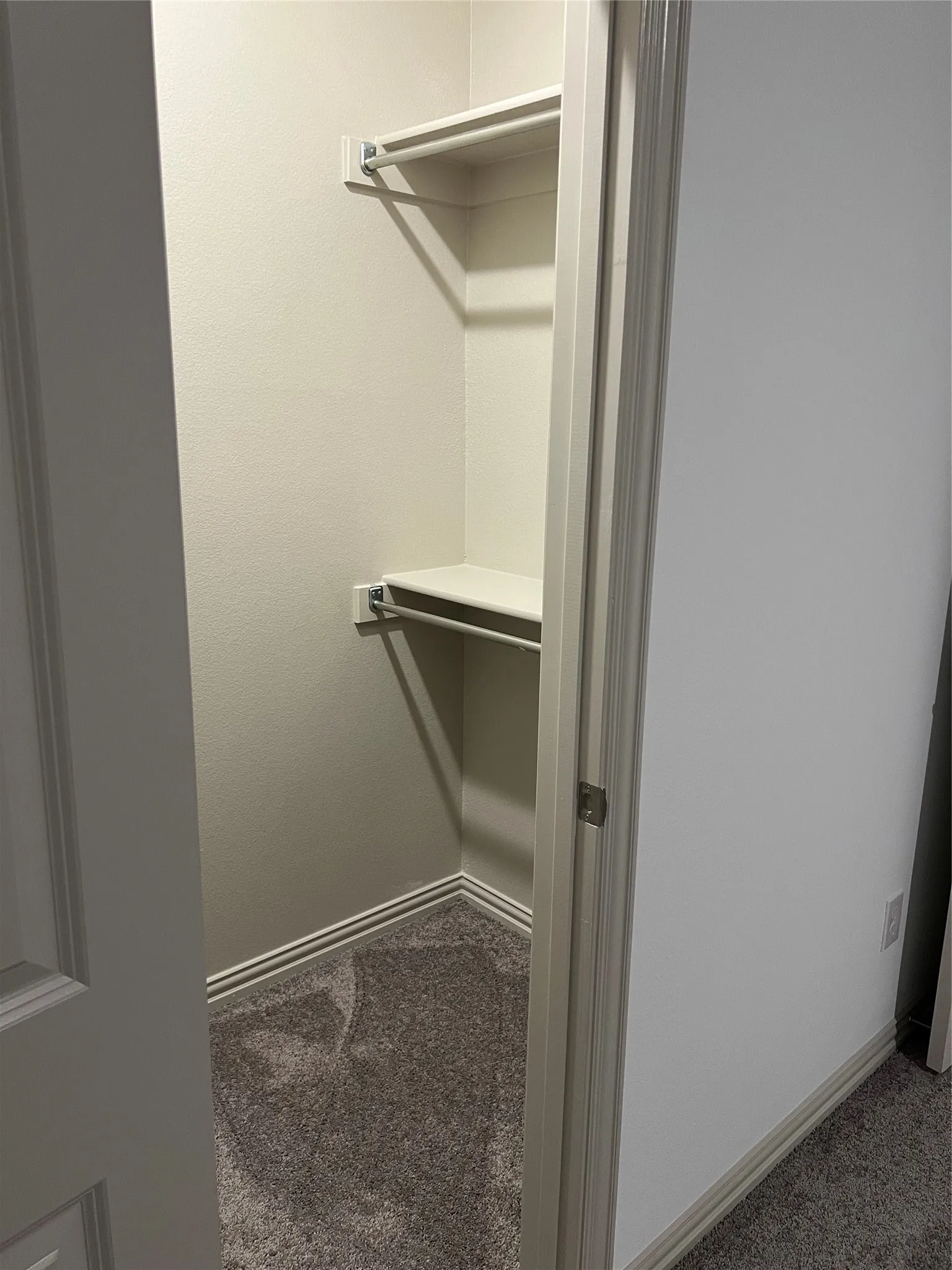 Recessed closet space featuring carpet flooring and base molding
