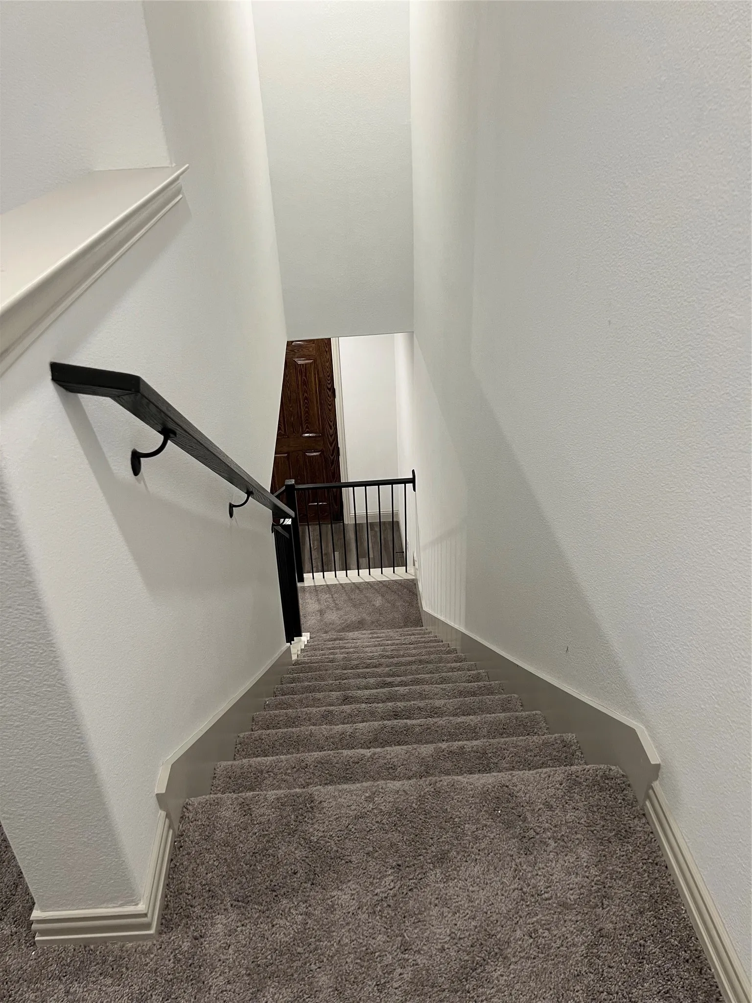 Carpeted staircase featuring a dark handrail with black iron balusters