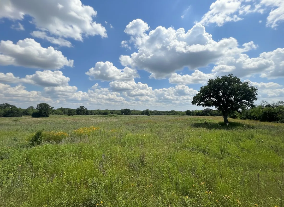 Improved Land For Sale in Eastland County , 1096 County Road 345, Ranger, Texas 76470, 0, 0, Garage spaces, 0 Sqft, built in 0, Price $425,000, mls#21274614, Real Estate Agent in Ranger, Homes For Sale in Eastland county, Homes For Sale in Ranger, Realtor in Ranger Texas, Real Estate Brokerage Independent Realty Texas, Luminita Cordes Realtor