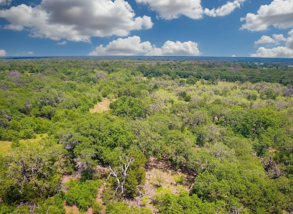 Improved Land For Sale in Eastland County , 1096 County Road 345, Ranger, Texas 76470, 0, 0, Garage spaces, 0 Sqft, built in 0, Price $425,000, mls#21274614, Real Estate Agent in Ranger, Homes For Sale in Eastland county, Homes For Sale in Ranger, Realtor in Ranger Texas, Real Estate Brokerage Independent Realty Texas, Luminita Cordes Realtor