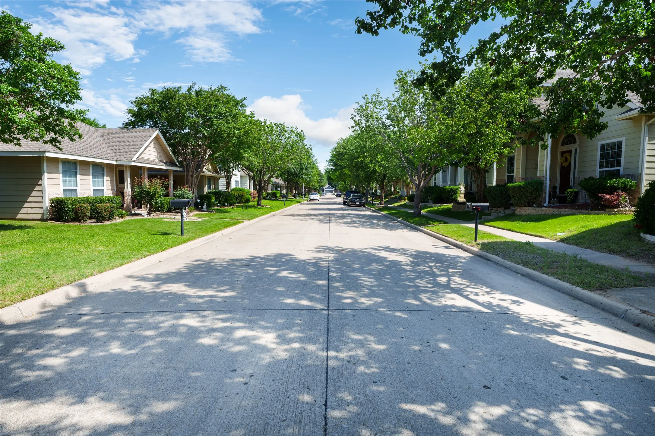 Street