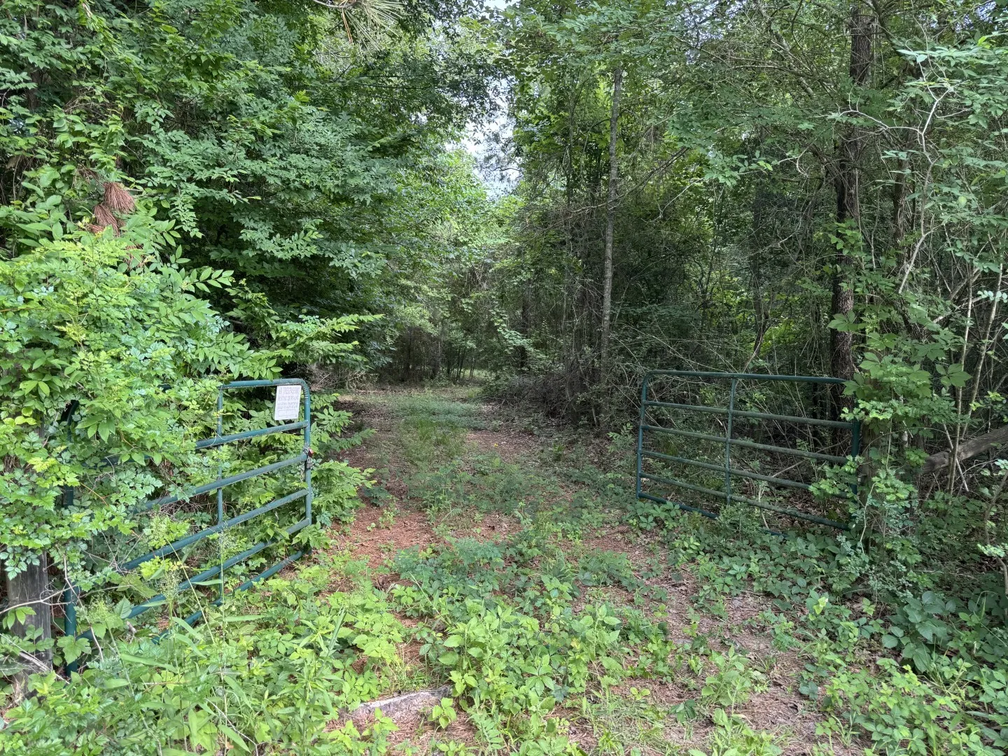Unimproved Land For Sale in Upshur County , TBD HWY 259, Diana, Texas 75640, 0, 0, Garage spaces, 0 Sqft, built in 0, Price $474,750, mls#21274744, Real Estate Agent in Diana, Homes For Sale in Upshur county, Homes For Sale in Diana, Realtor in Diana Texas, Real Estate Brokerage Independent Realty Texas, Luminita Cordes Realtor