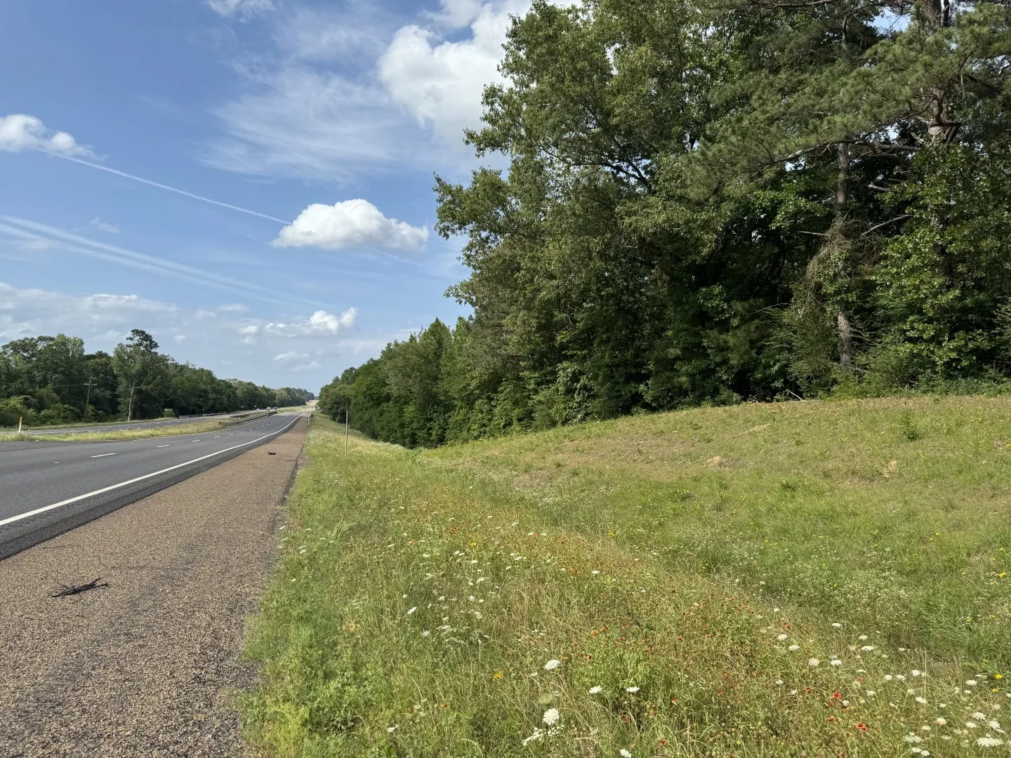Unimproved Land For Sale in Upshur County , TBD HWY 259, Diana, Texas 75640, 0, 0, Garage spaces, 0 Sqft, built in 0, Price $474,750, mls#21274744, Real Estate Agent in Diana, Homes For Sale in Upshur county, Homes For Sale in Diana, Realtor in Diana Texas, Real Estate Brokerage Independent Realty Texas, Luminita Cordes Realtor