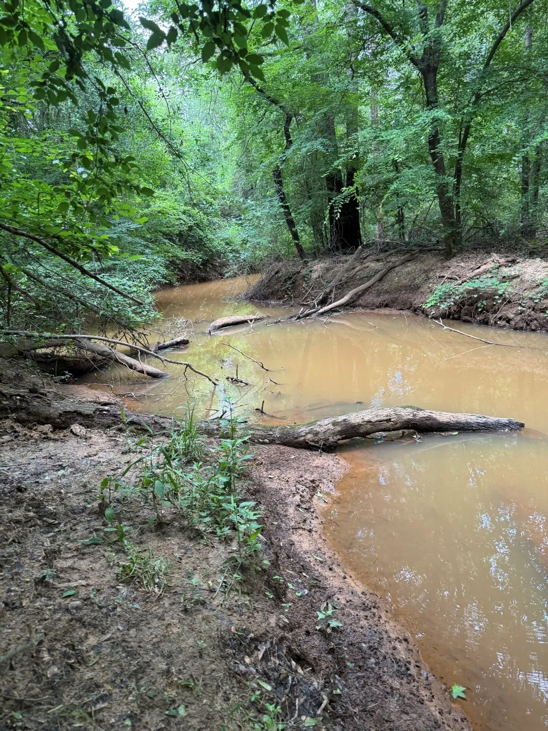 Unimproved Land For Sale in Upshur County , TBD HWY 259, Diana, Texas 75640, 0, 0, Garage spaces, 0 Sqft, built in 0, Price $474,750, mls#21274744, Real Estate Agent in Diana, Homes For Sale in Upshur county, Homes For Sale in Diana, Realtor in Diana Texas, Real Estate Brokerage Independent Realty Texas, Luminita Cordes Realtor