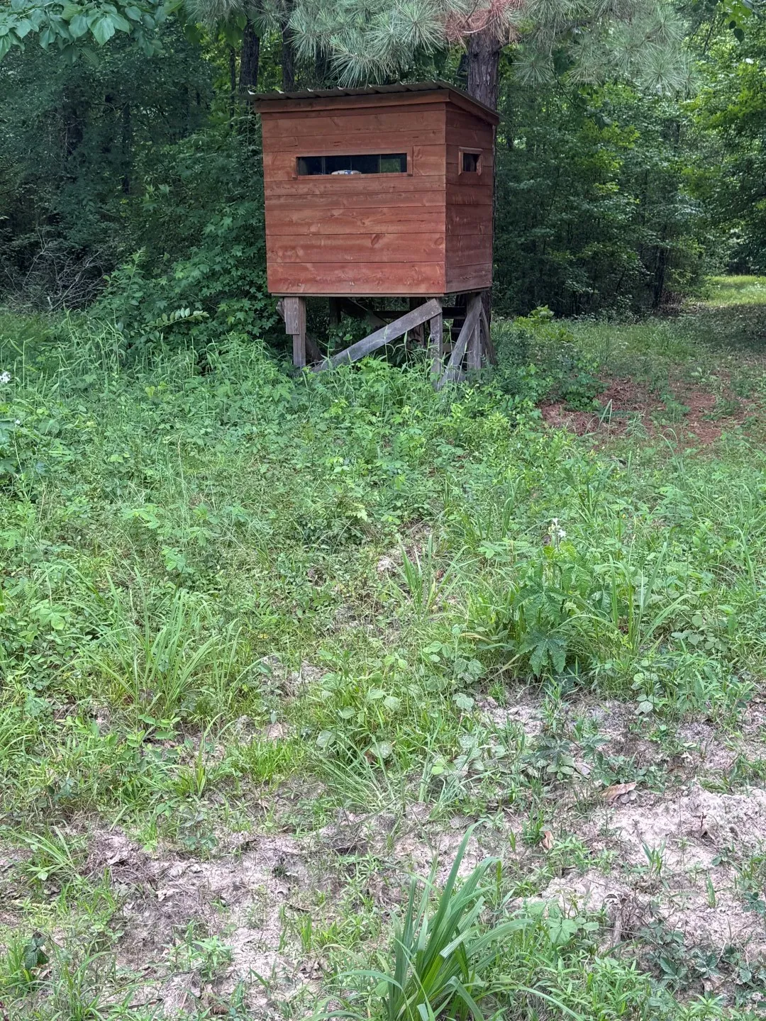 Unimproved Land For Sale in Upshur County , TBD HWY 259, Diana, Texas 75640, 0, 0, Garage spaces, 0 Sqft, built in 0, Price $474,750, mls#21274744, Real Estate Agent in Diana, Homes For Sale in Upshur county, Homes For Sale in Diana, Realtor in Diana Texas, Real Estate Brokerage Independent Realty Texas, Luminita Cordes Realtor